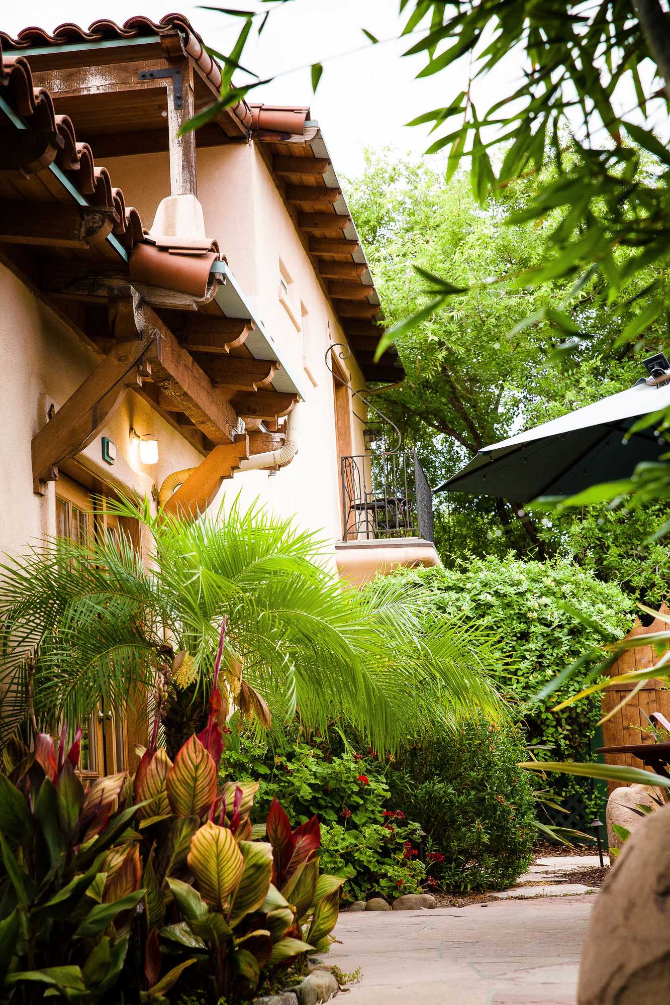 Gift card for Blue Iguana Inn Gift card for Blue Iguana Inn