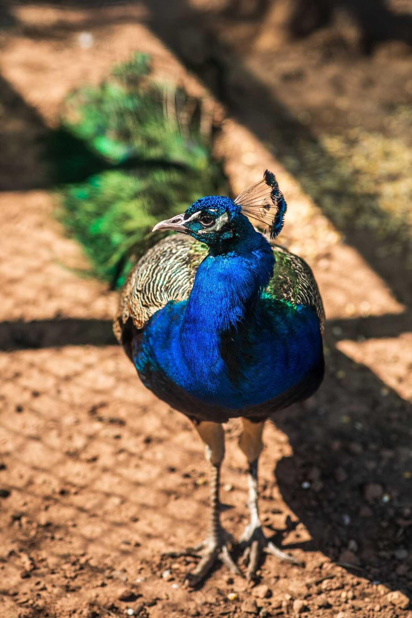 Gift card for Hotel Rural Quinta do Marco