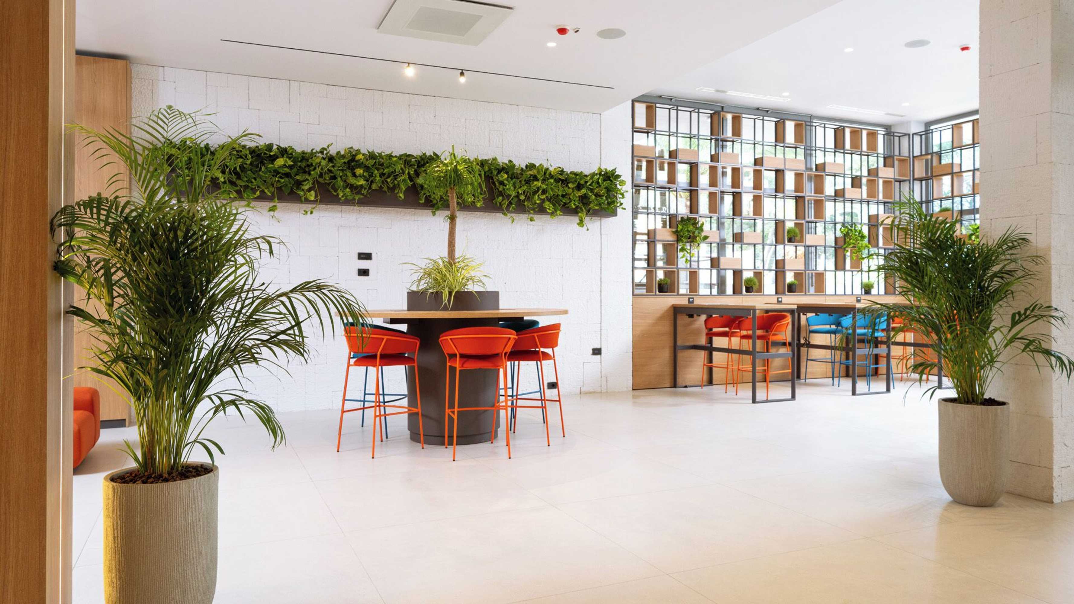 Gift card for Pelegrin Plava Laguna Affiliated by Meliá