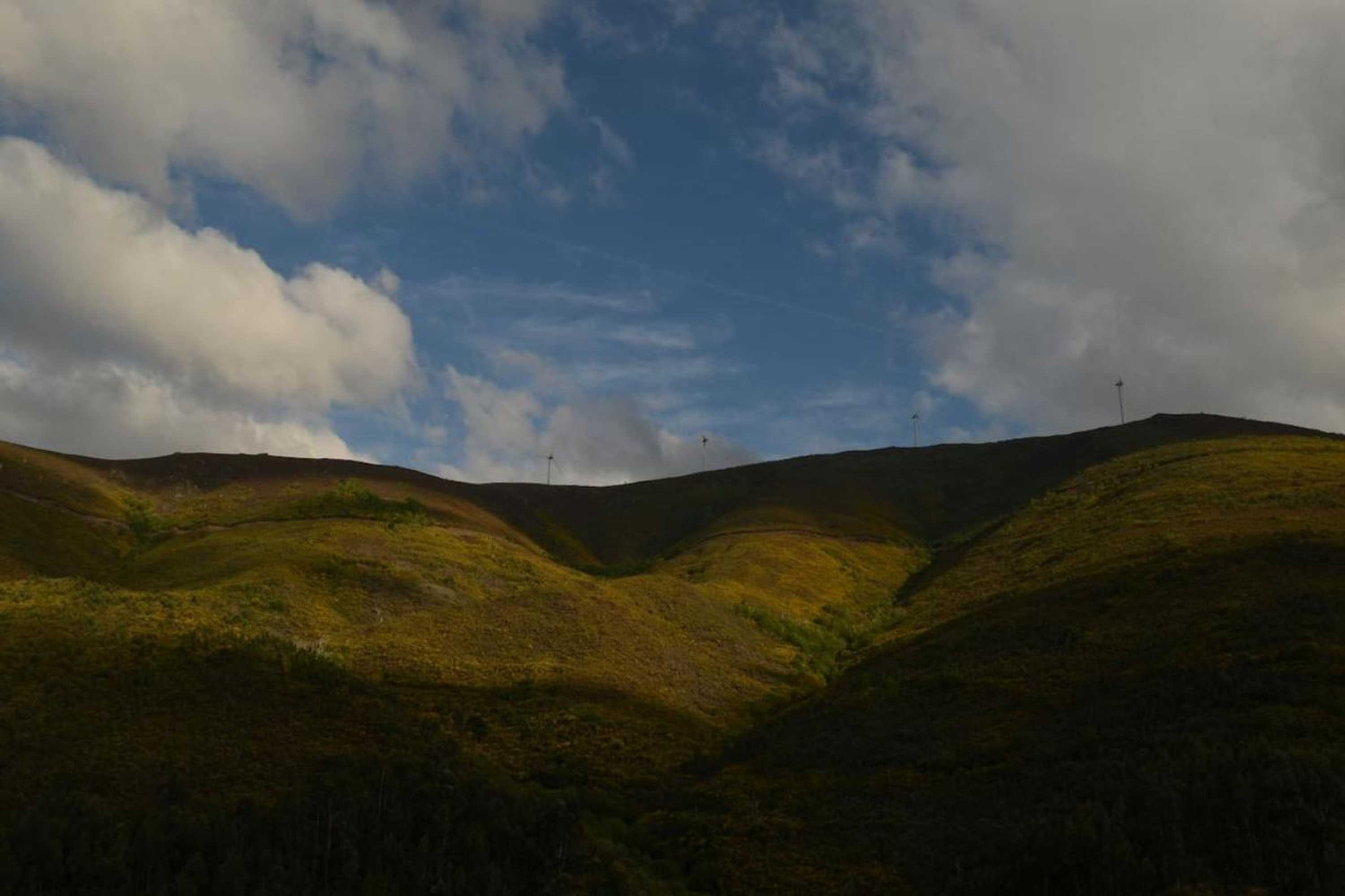 Gift card for Casa do Loureiro