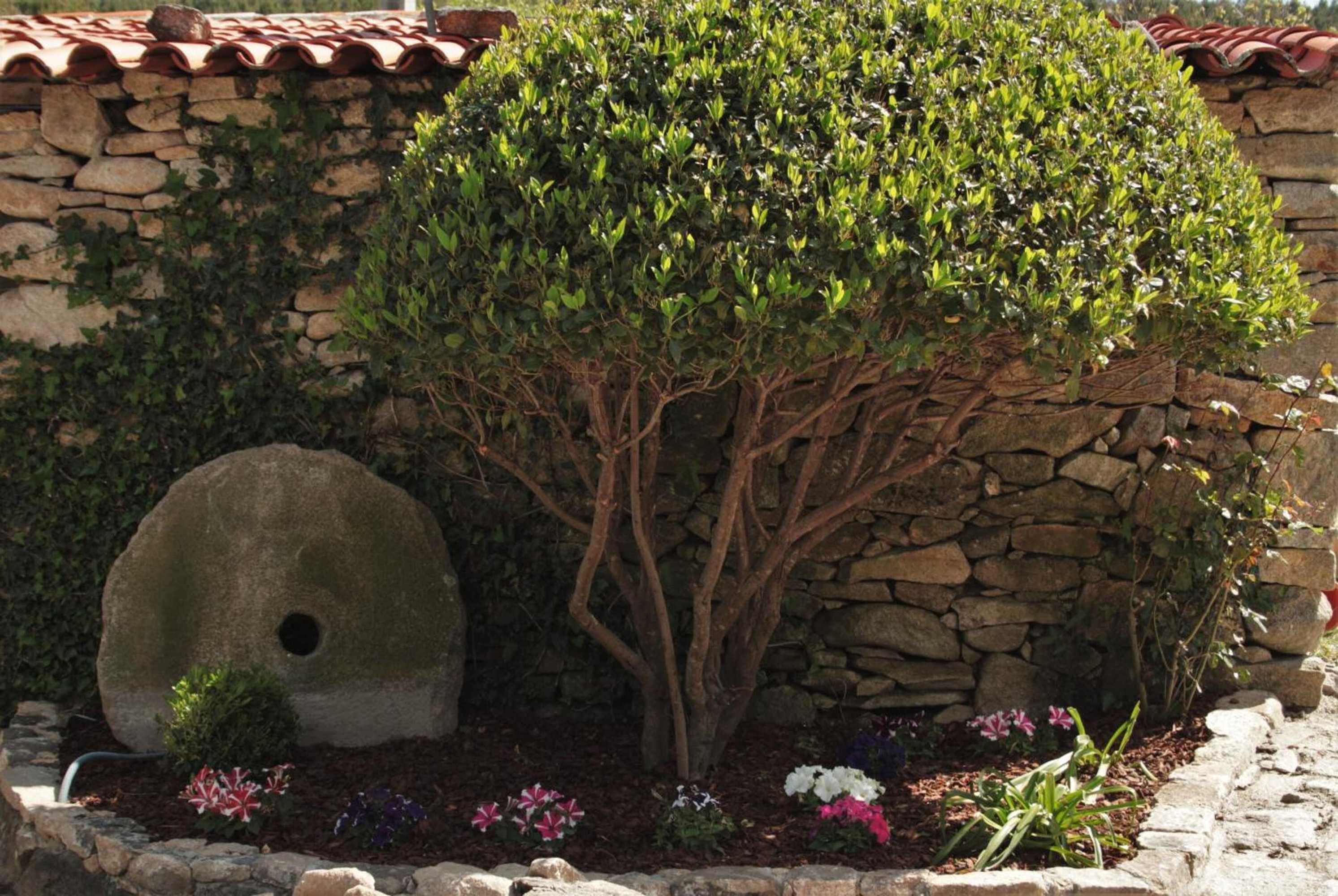 Gift card for Moinhos da Tia Antoninha