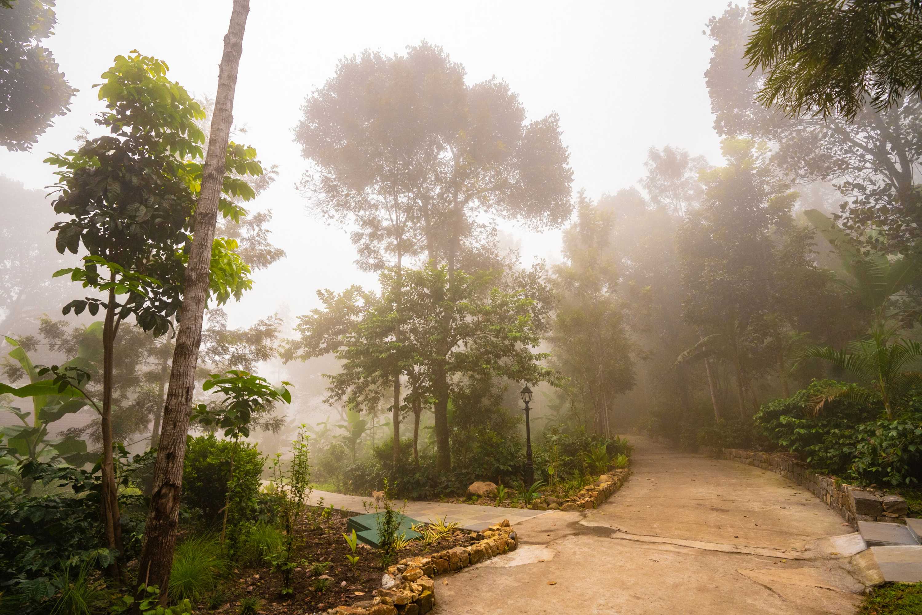 Gift card for Shambala Yercaud Gift card for Shambala Yercaud