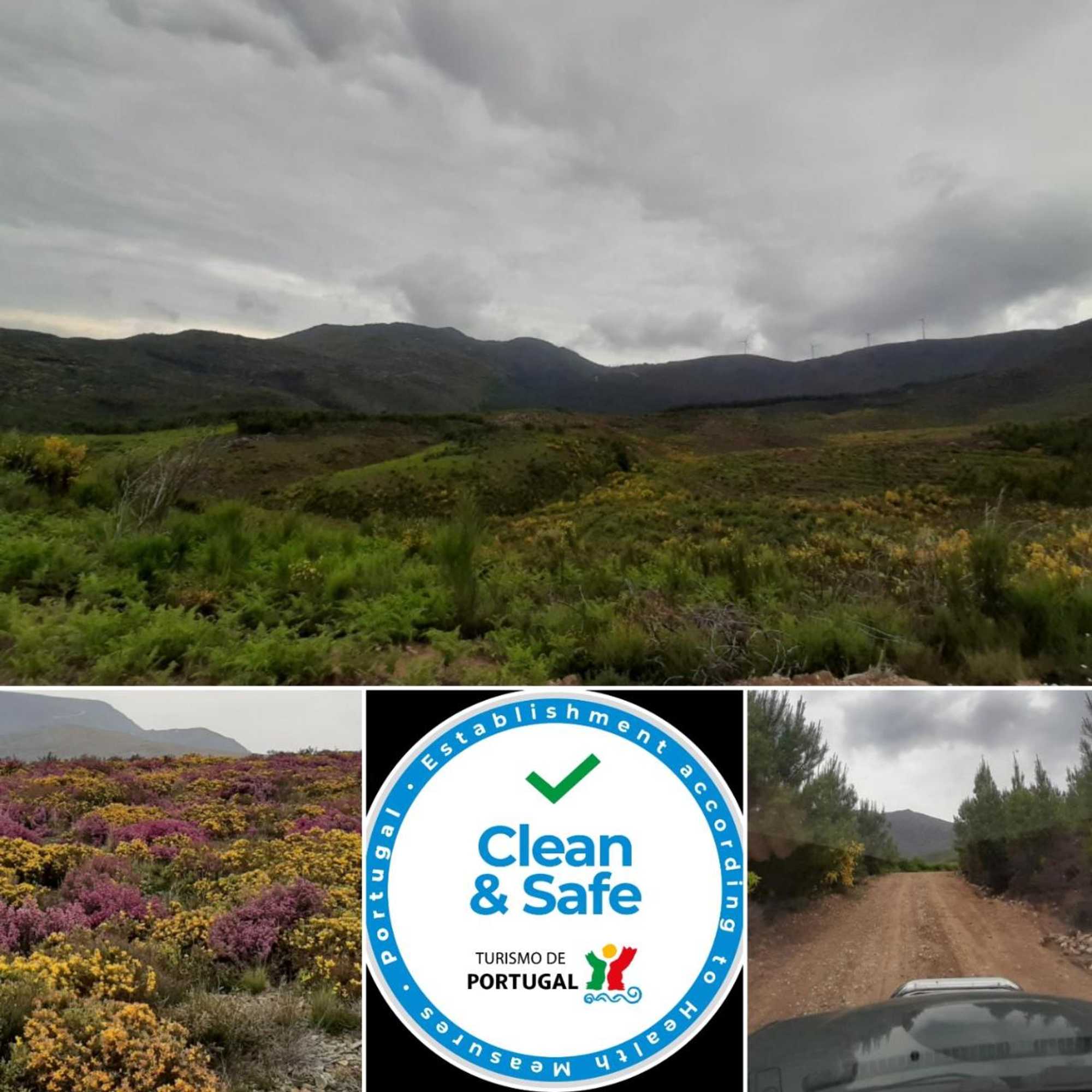 Gift card for Pensão David - Residencial Lafoes