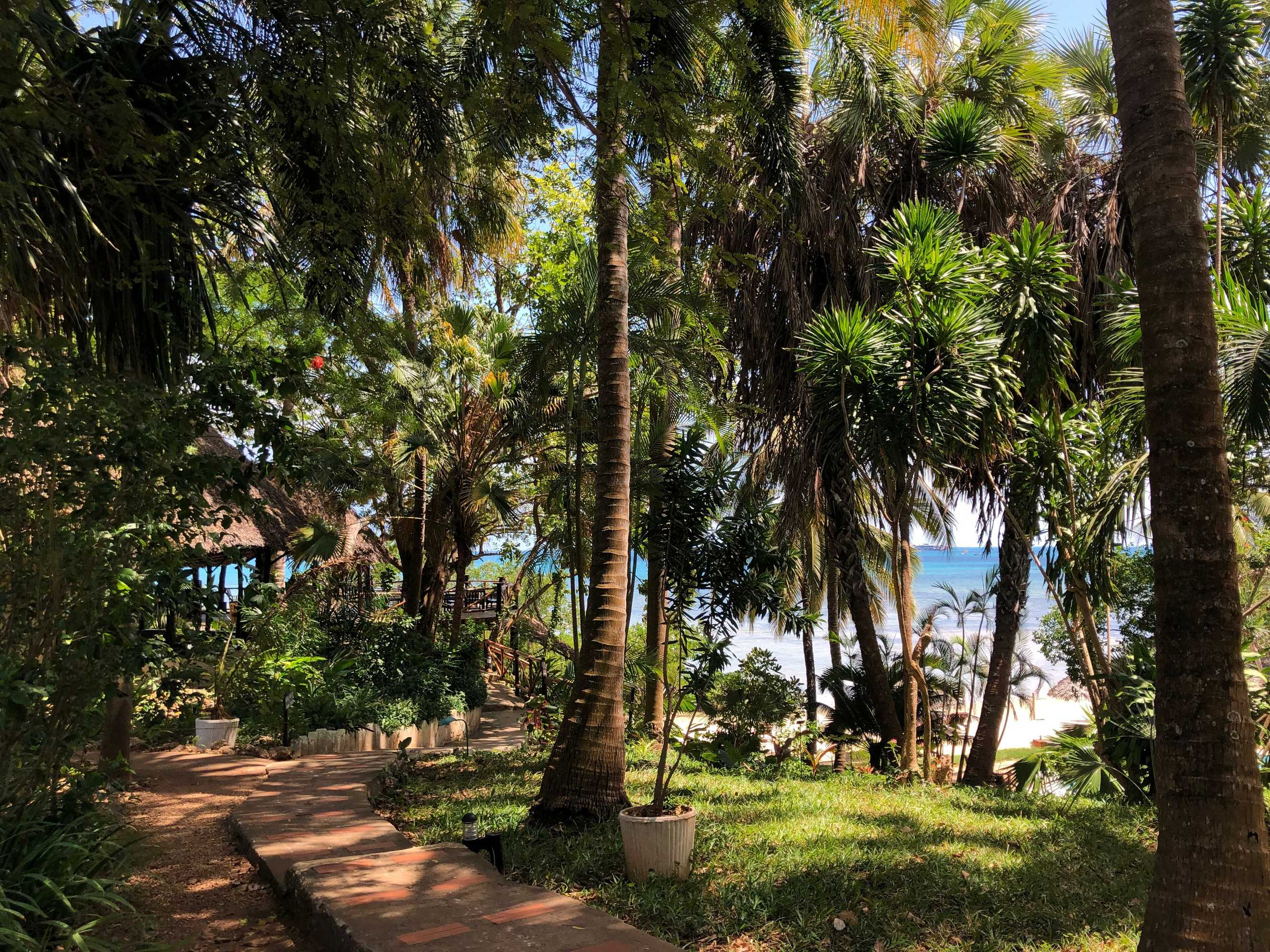 Gift card for Mbweni Ruins & Gardens Gift card for Mbweni Ruins & Gardens