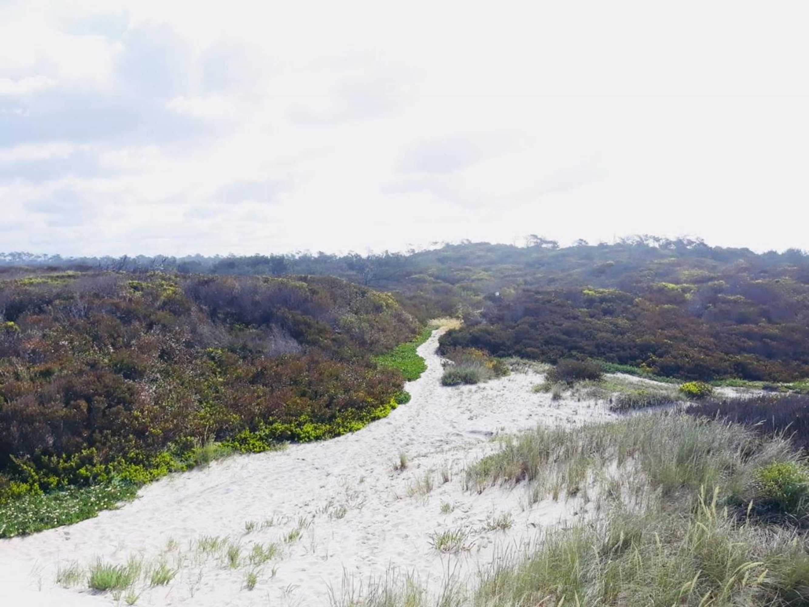 Gift card for Casa Dos Avos