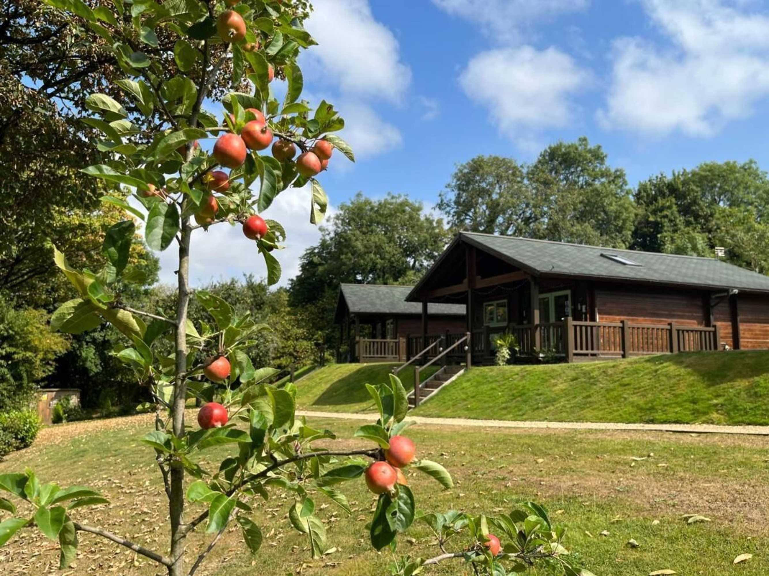 Gift card for Hollybush Lodges