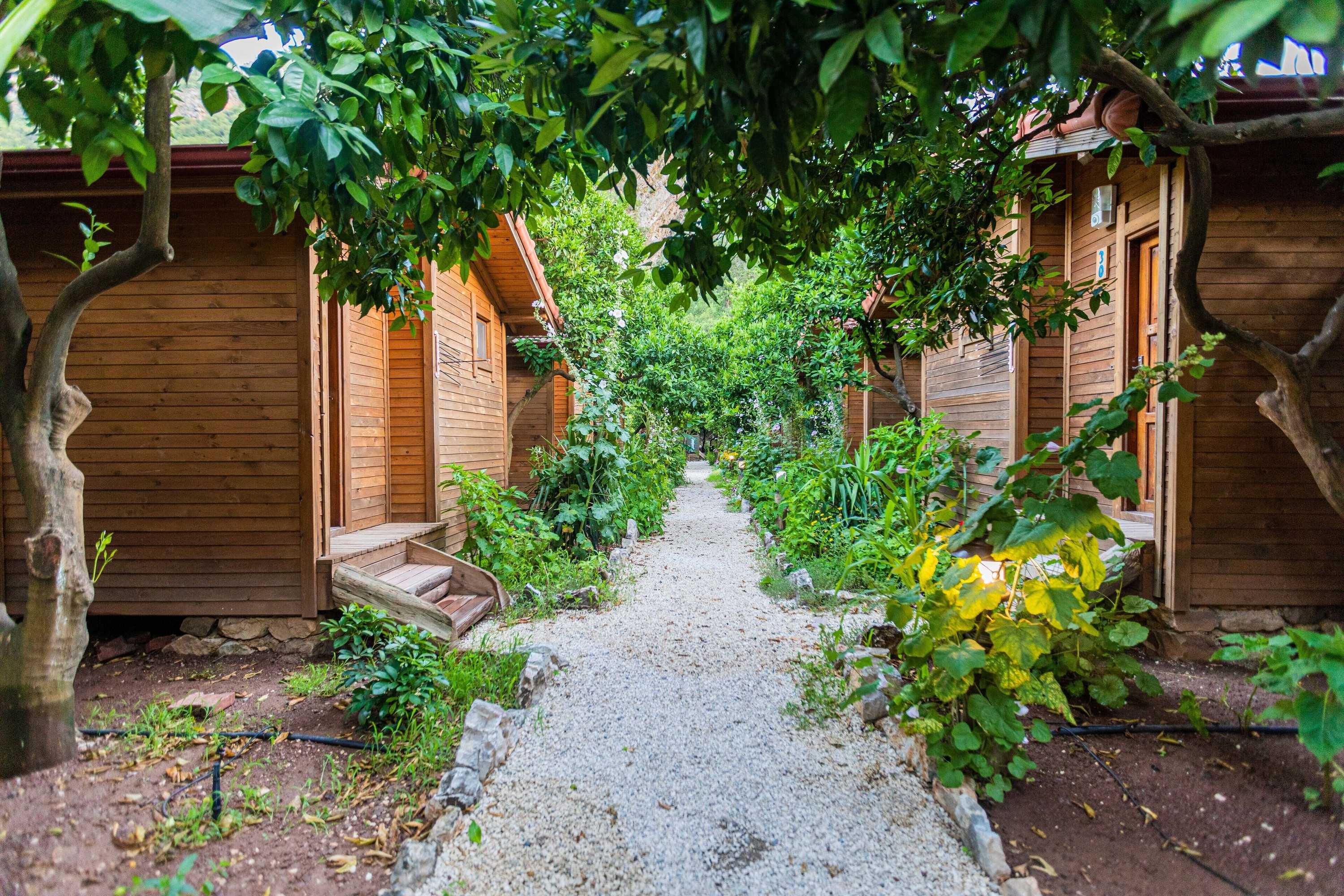 Gift card for Sheriff Olimpos