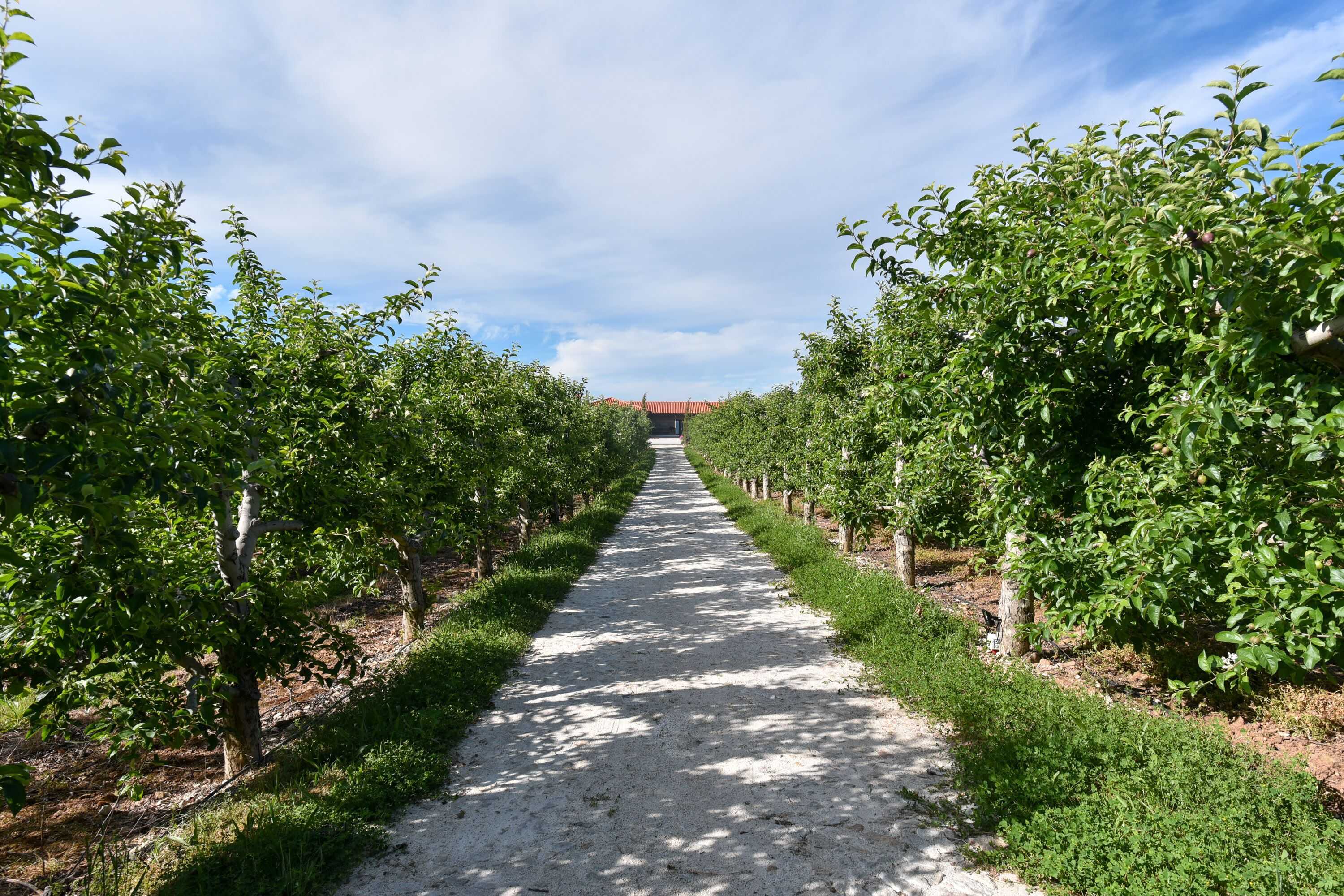 Gift card for Feel Discovery Maçã Douro