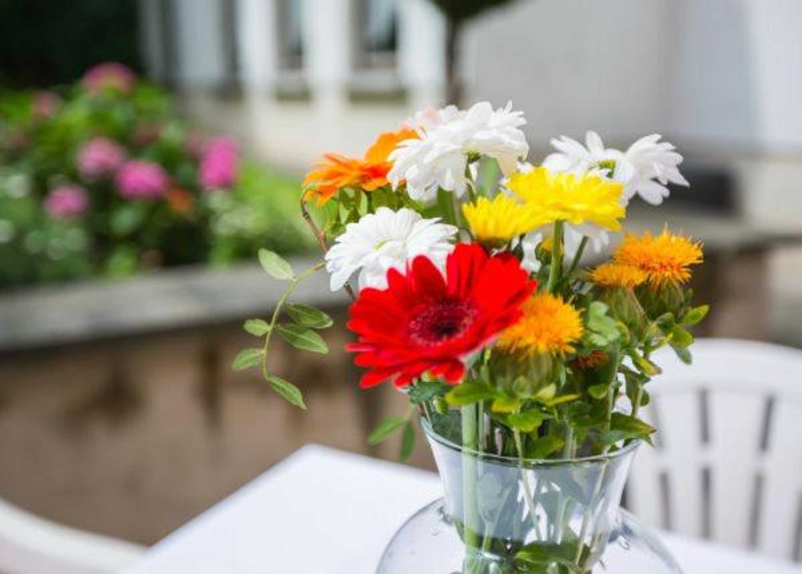 Gift card for Hotel Annet Garni