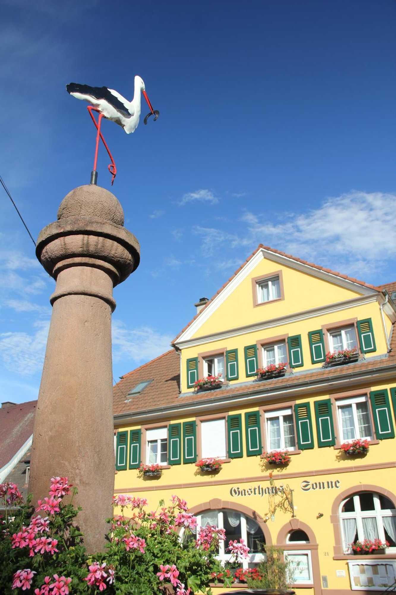 Gift card for Gasthaus Zur Sonne Gift card for Gasthaus Zur Sonne