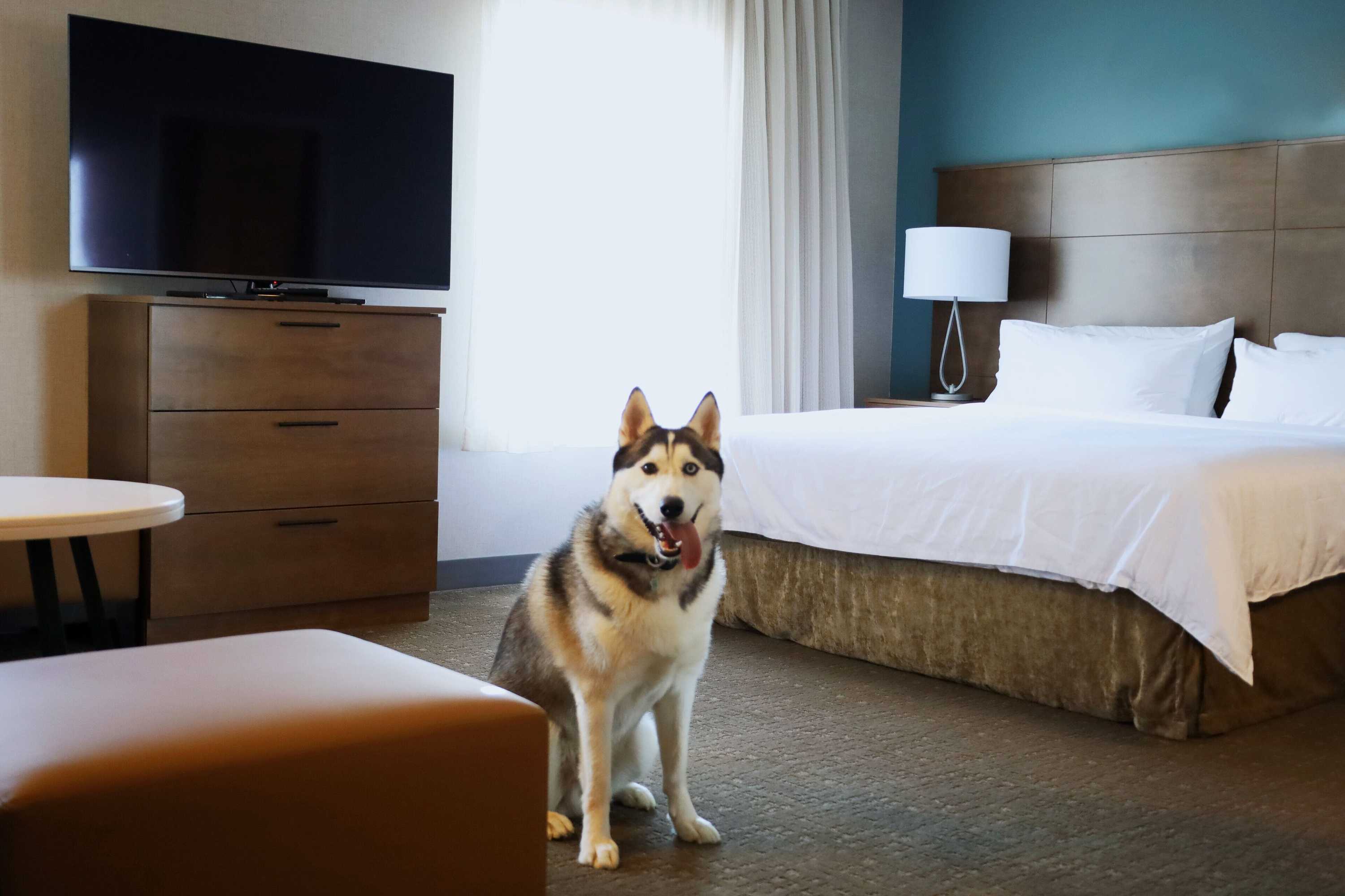 Gift card for Staybridge Suites Waterloo - St. Jacobs Area by Ihg Gift card for Staybridge Suites Waterloo - St. Jacobs Area by Ihg