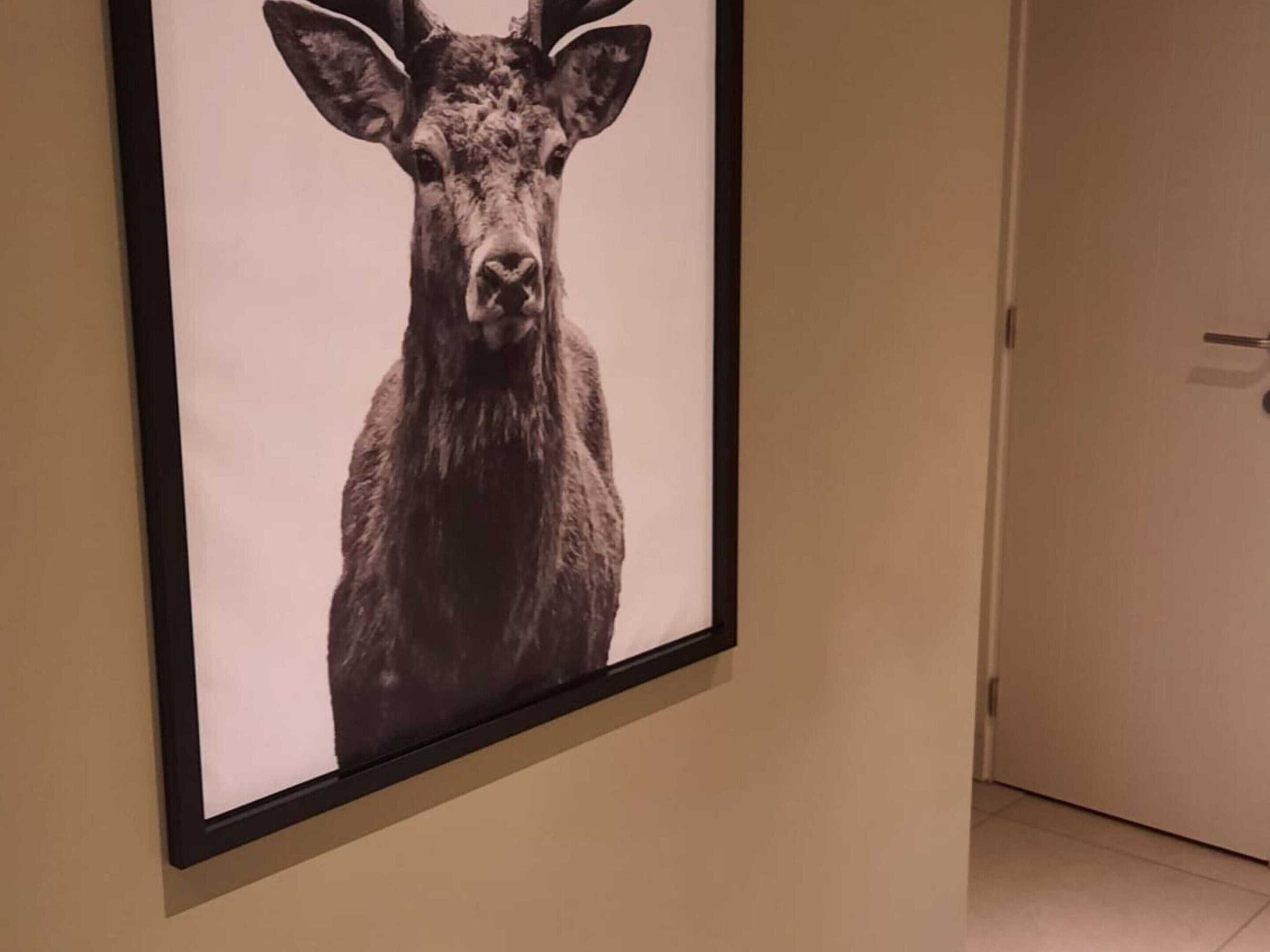 Gift card for Rosselaer Villa With Pool