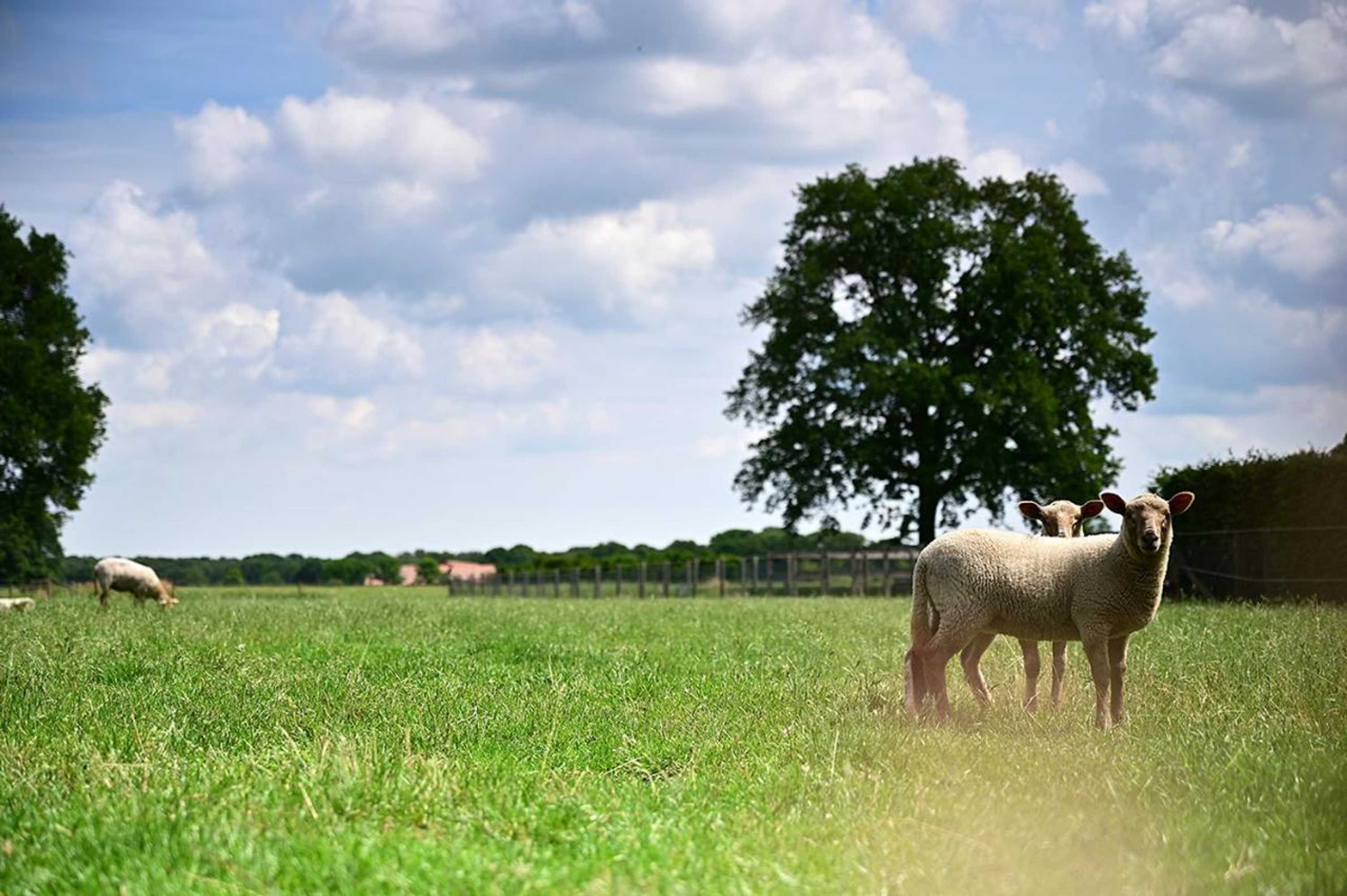 Gift card for De Lakenvelder B&b Eersel