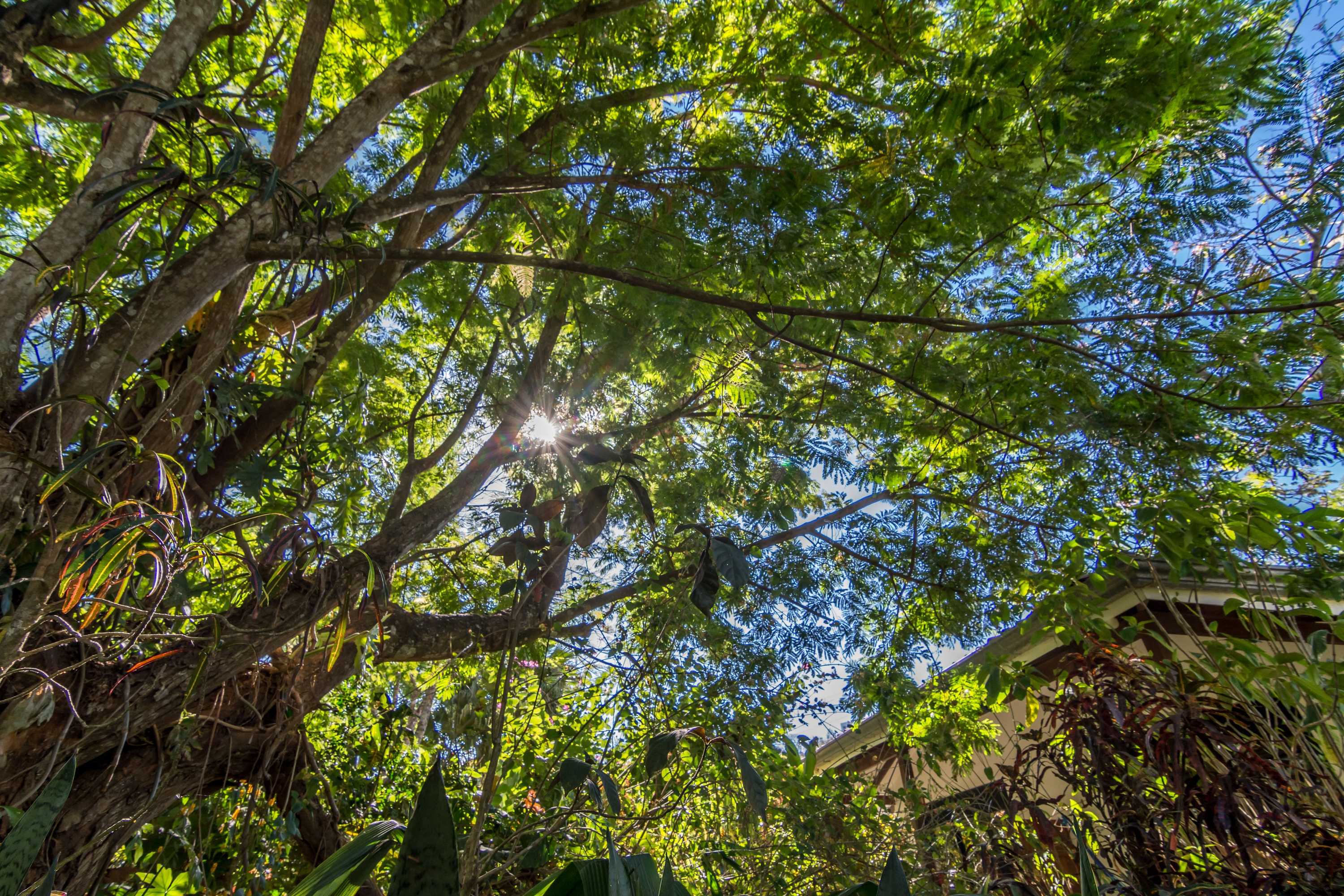 Gift card for Hotel Colinas Del Sol