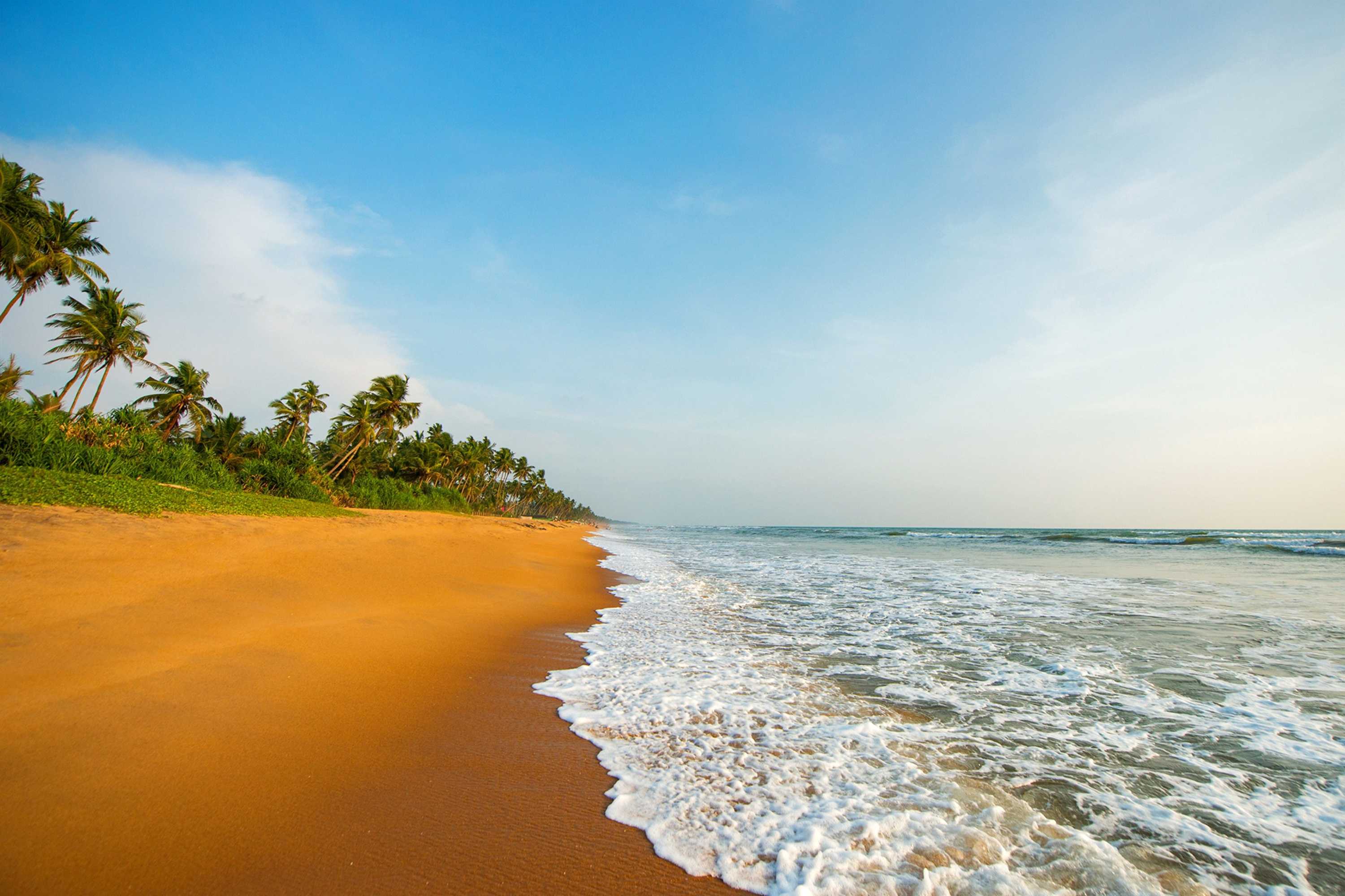 Gift card for Taprobana Wadduwa by Asia Leisure Gift card for Taprobana Wadduwa by Asia Leisure