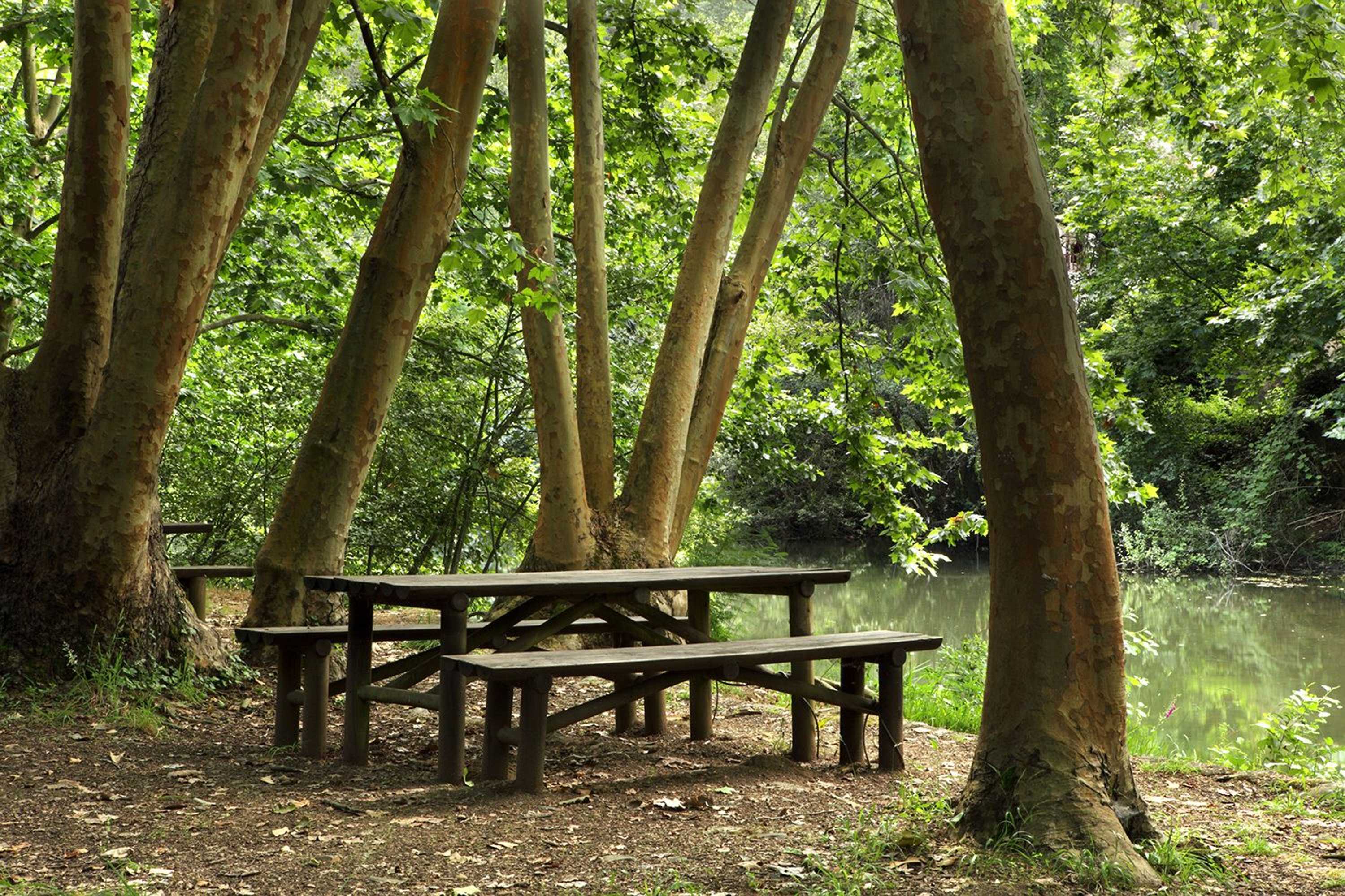 Gift card for Casa da Eira - Turismo Rural