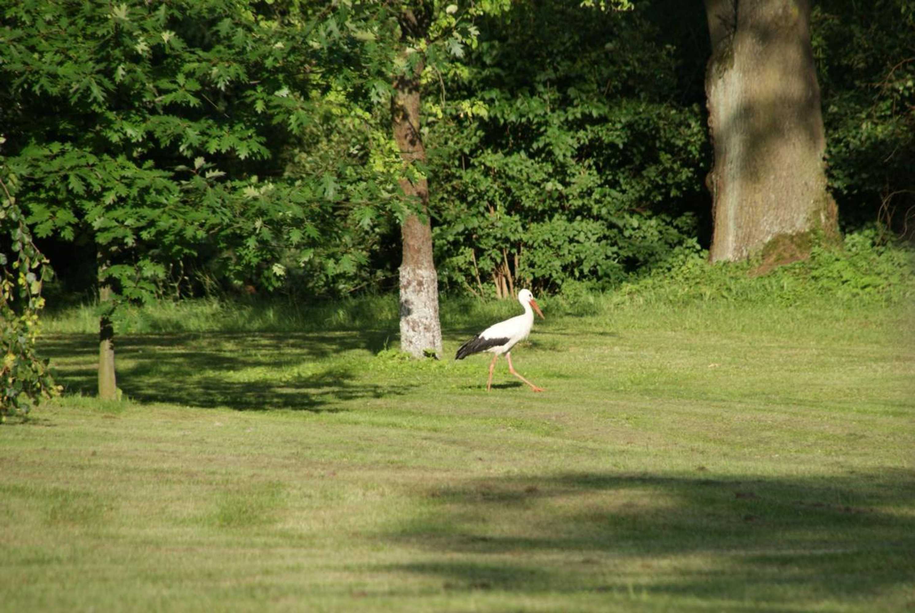 Gift card for Dom Łowczego Gnoyna Park