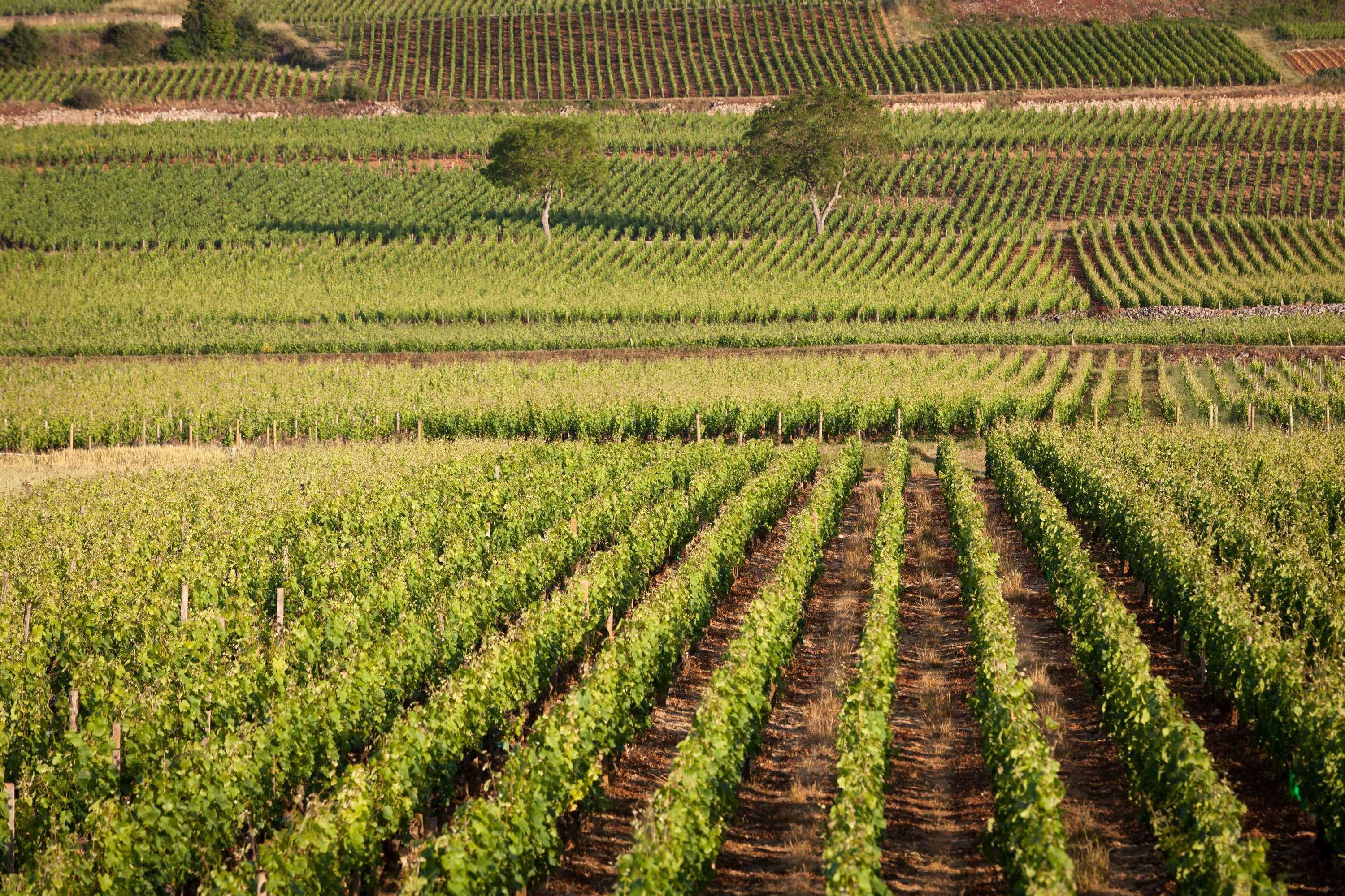 Gift card for Kyriad Prestige Beaune - Le Panorama Gift card for Kyriad Prestige Beaune - Le Panorama