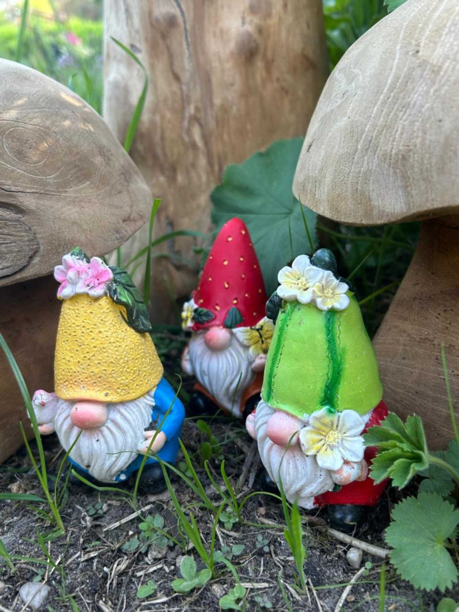 Gift card for Bed&breakfast Kamersven