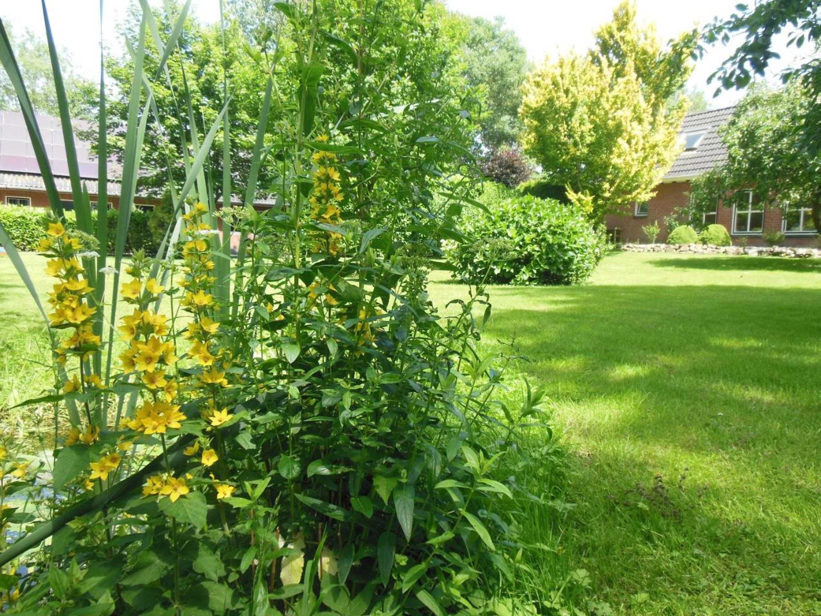 Gift card for B&b Landgoed Sonneborghe