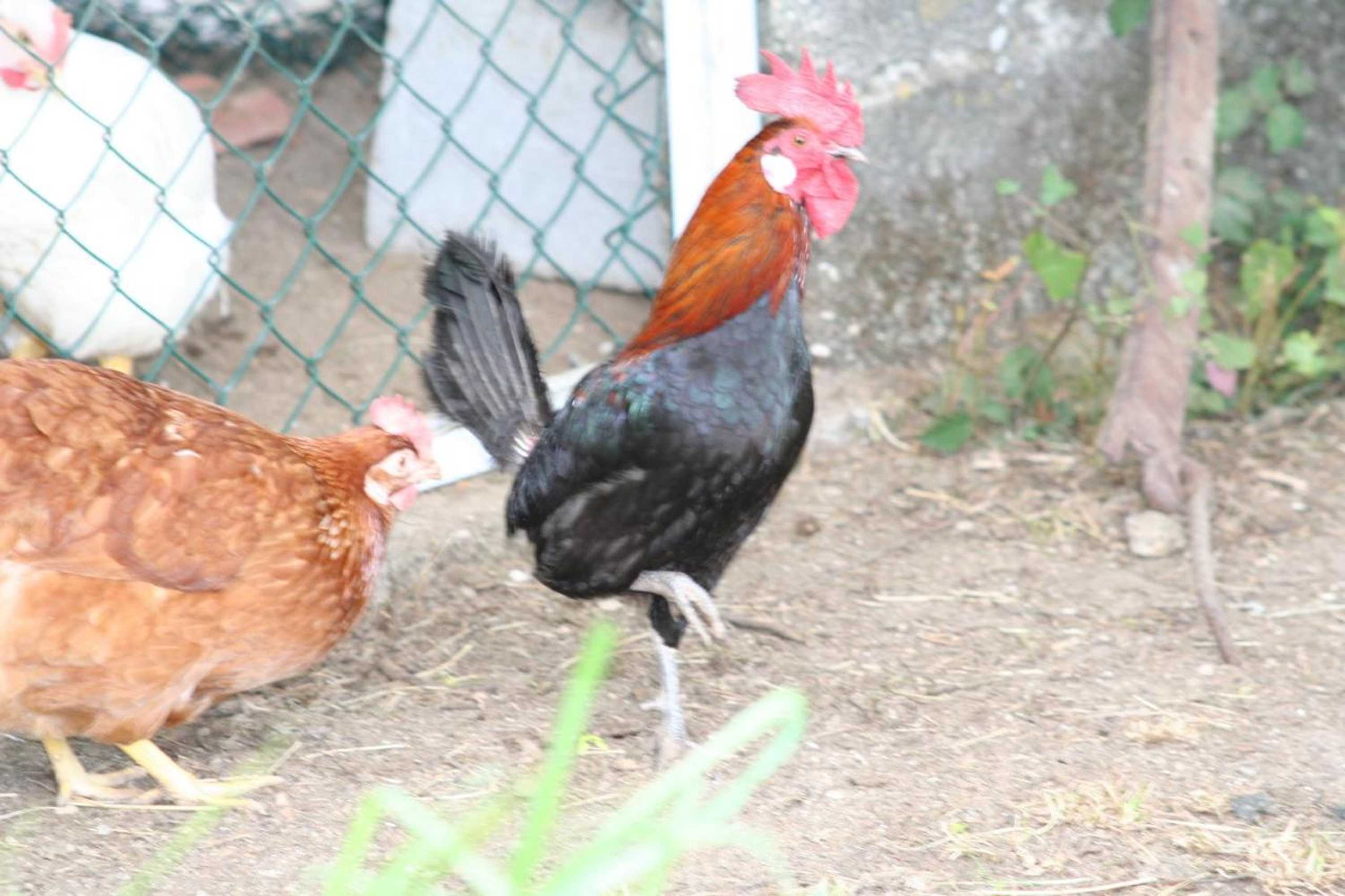 Gift card for Casa Paz do Outeiro