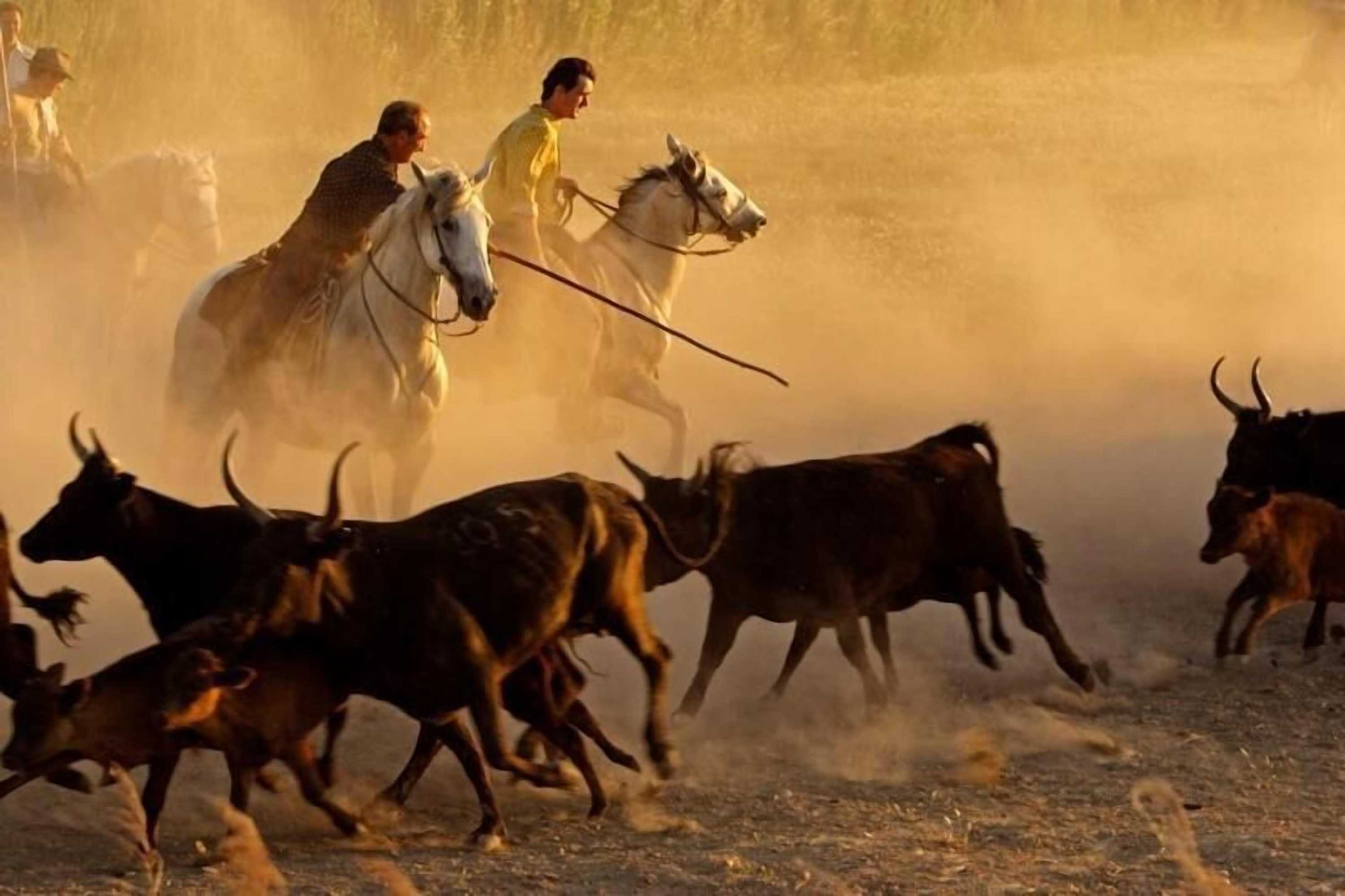 Gift card for Le Louvre, Lieu Atypique