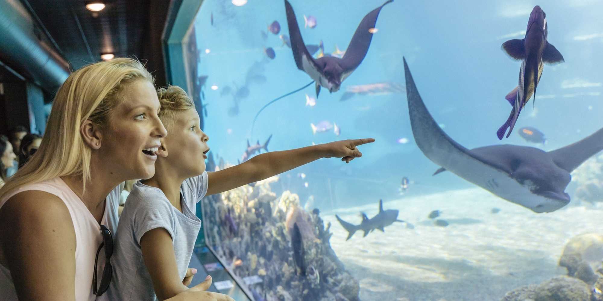 Gift card for Sea World Resort