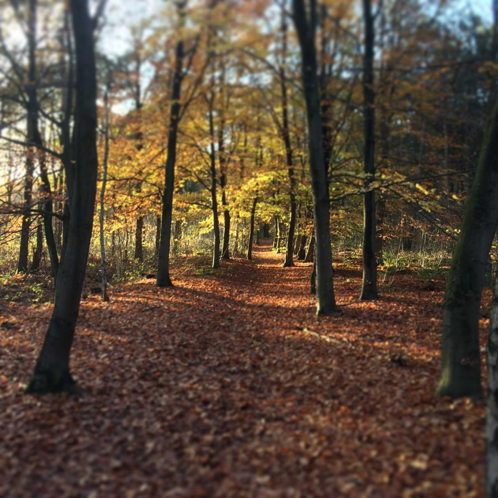 Gift card for Bed & Breakfast Heitse