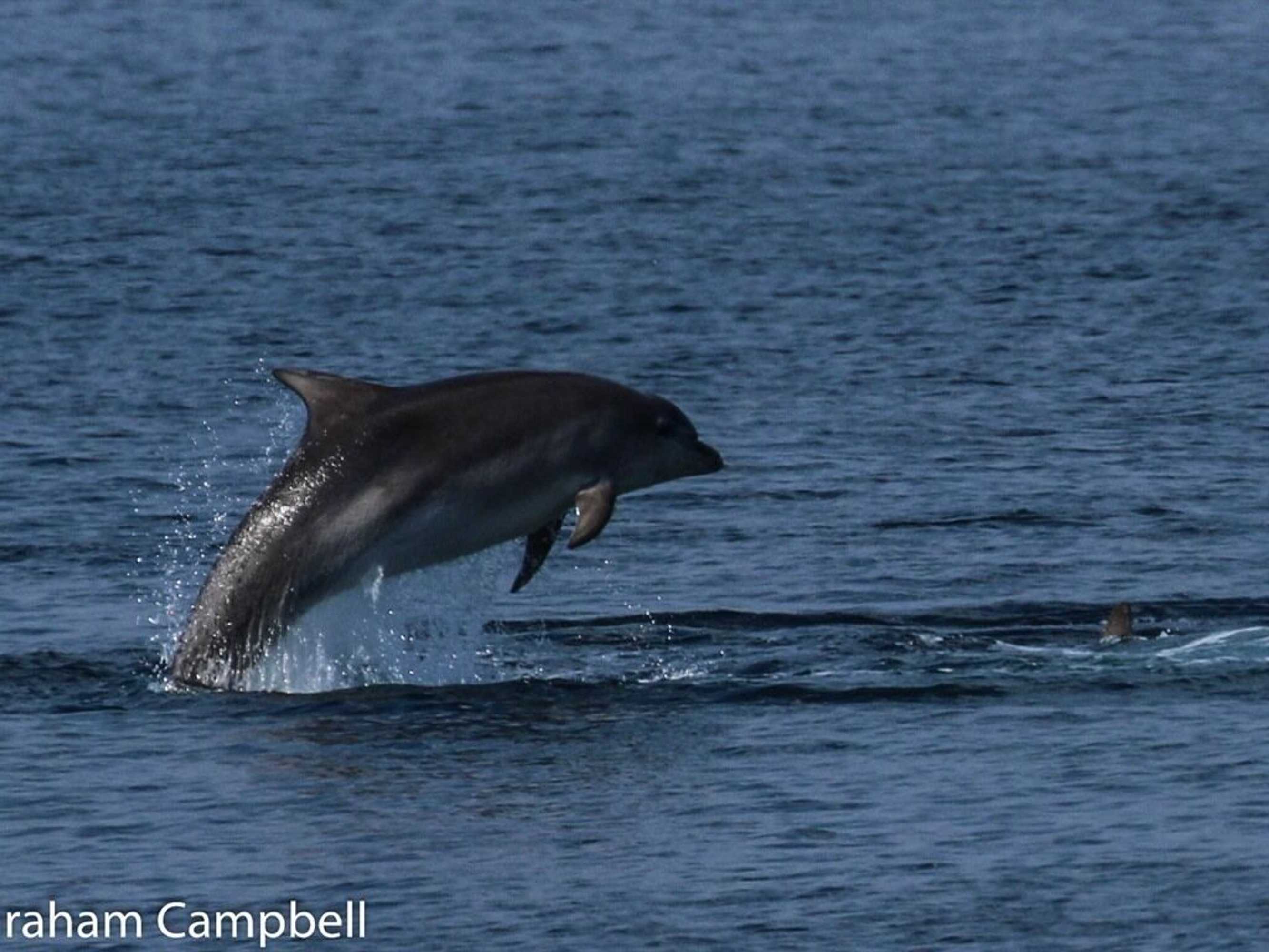 Gift card for Kintrae B&b