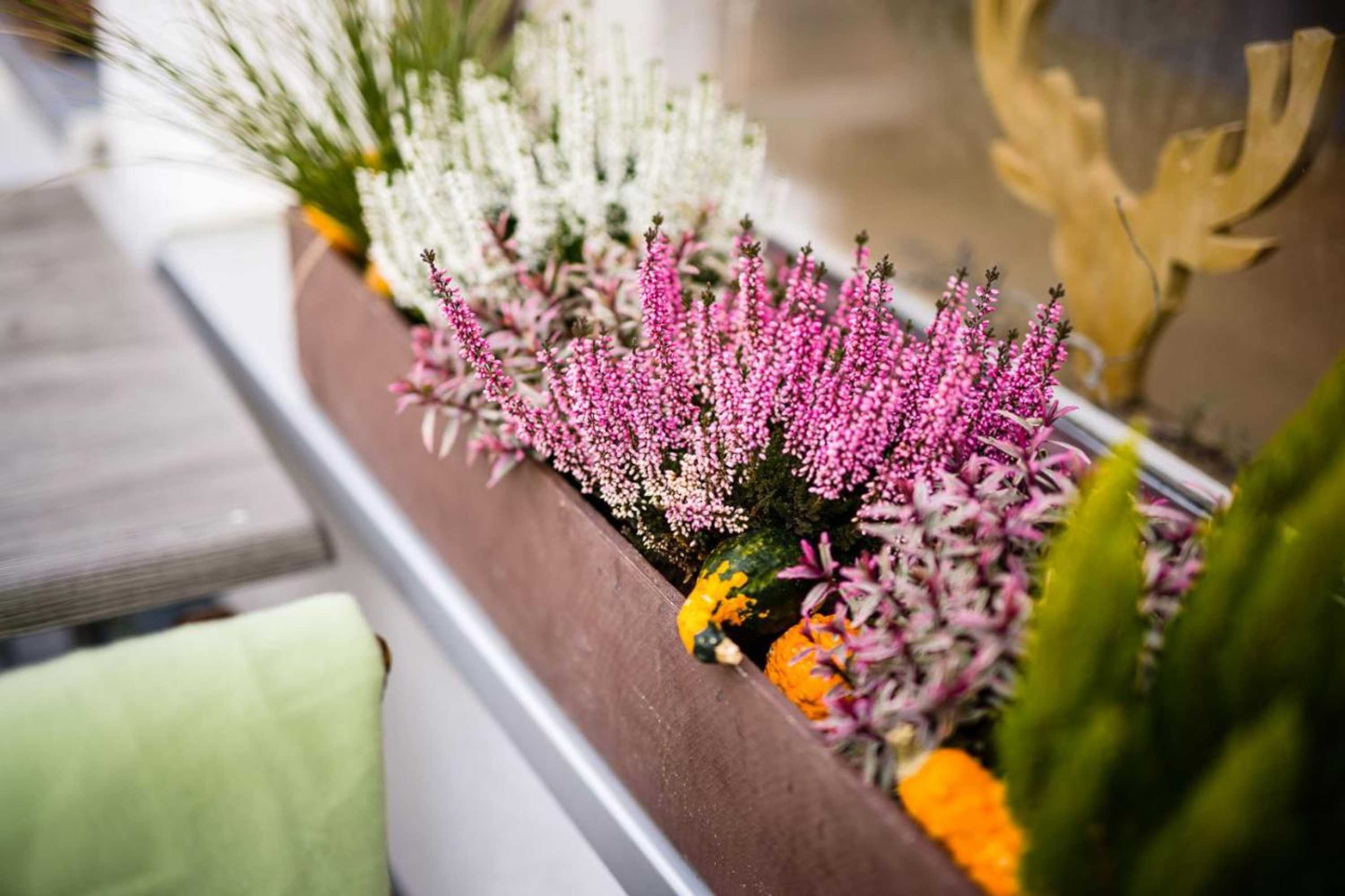 Gift card for Landhotel Küffner