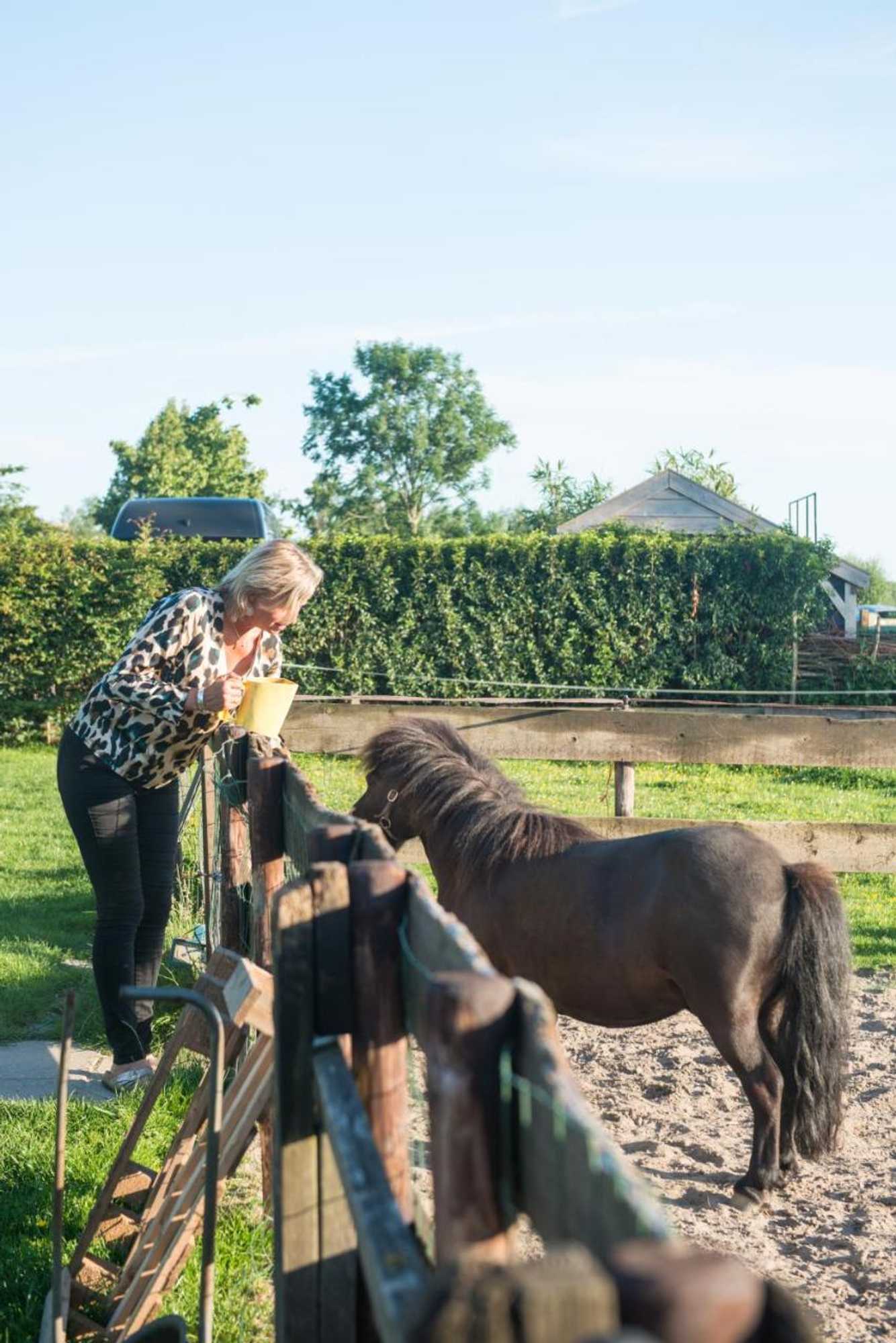 Gift card for Broeks' Bed En Brood