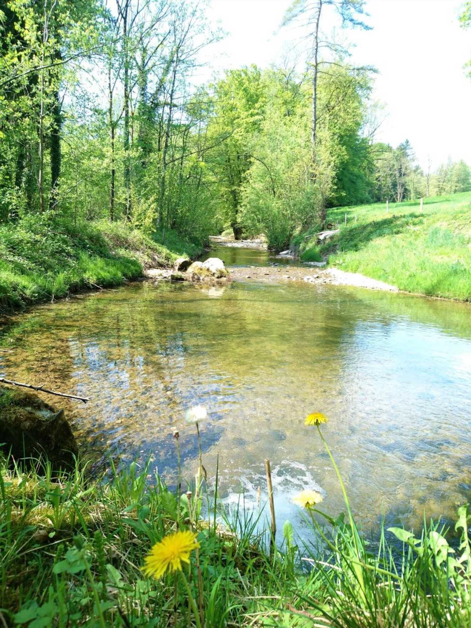 Gift card for Gasthaus Zum Ochsen