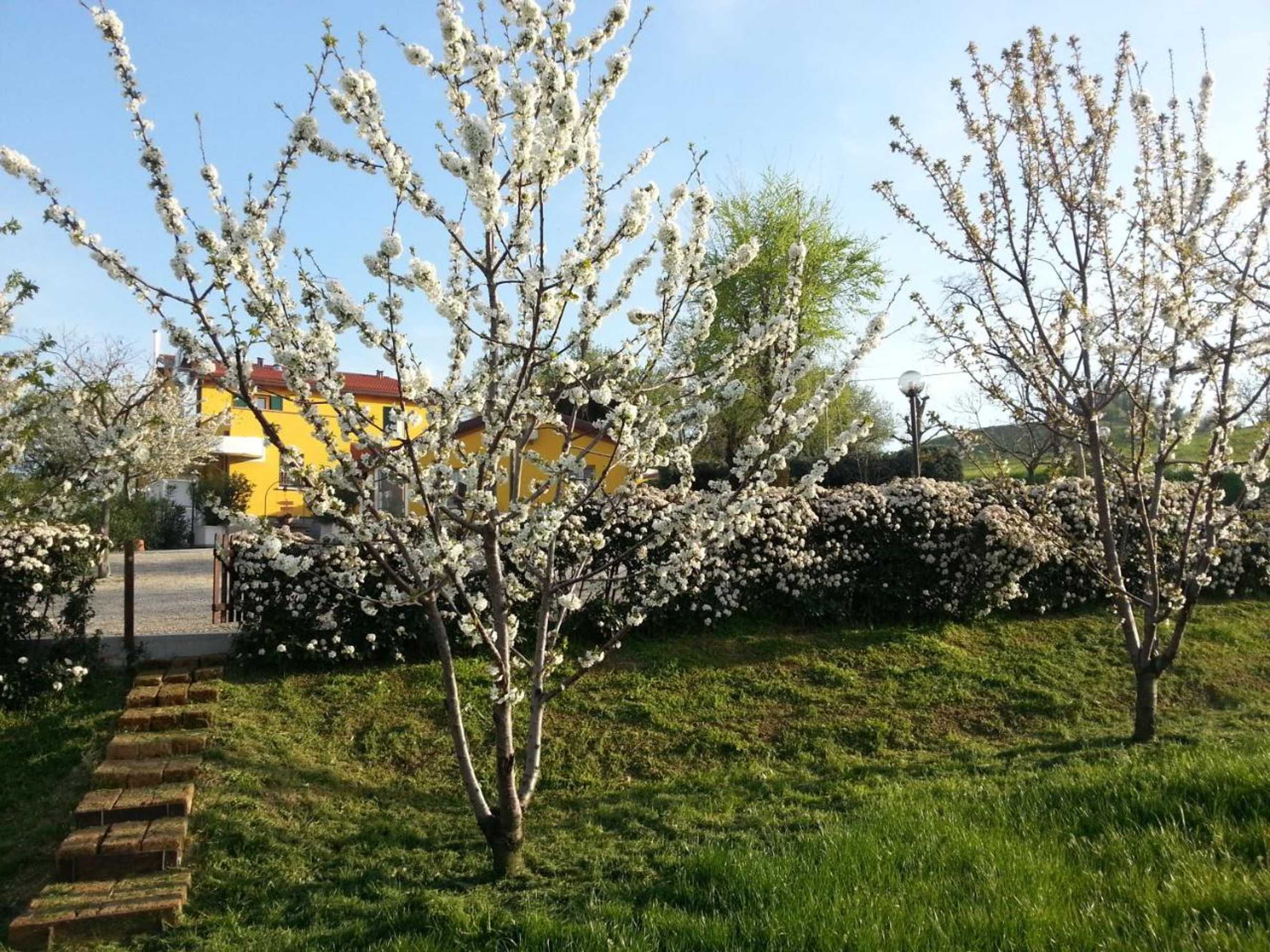 Gift card for Osteria da Cesare e Locanda