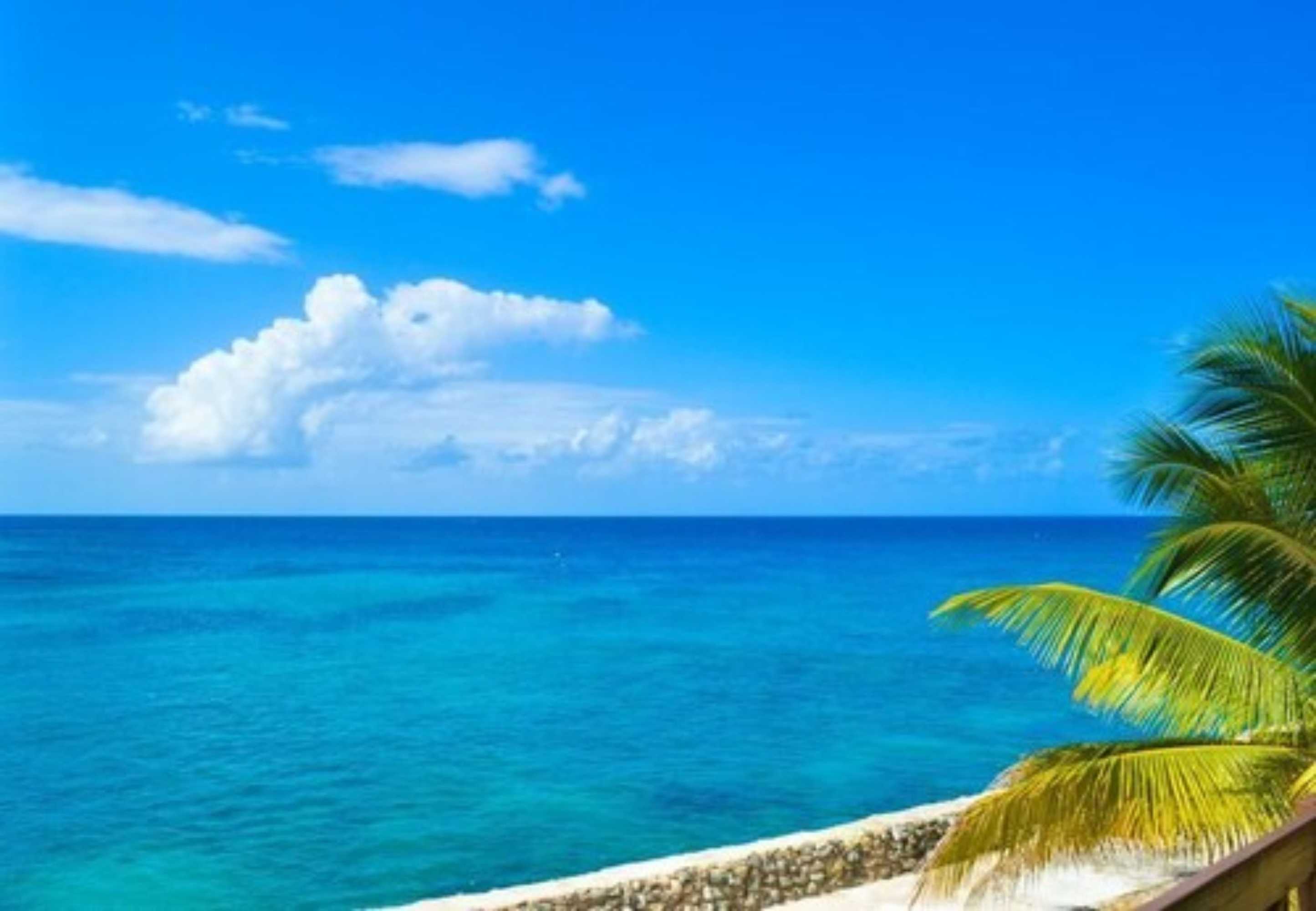Gift card for Le Mer Guest House & Villa - Lucea Gift card for Le Mer Guest House & Villa - Lucea