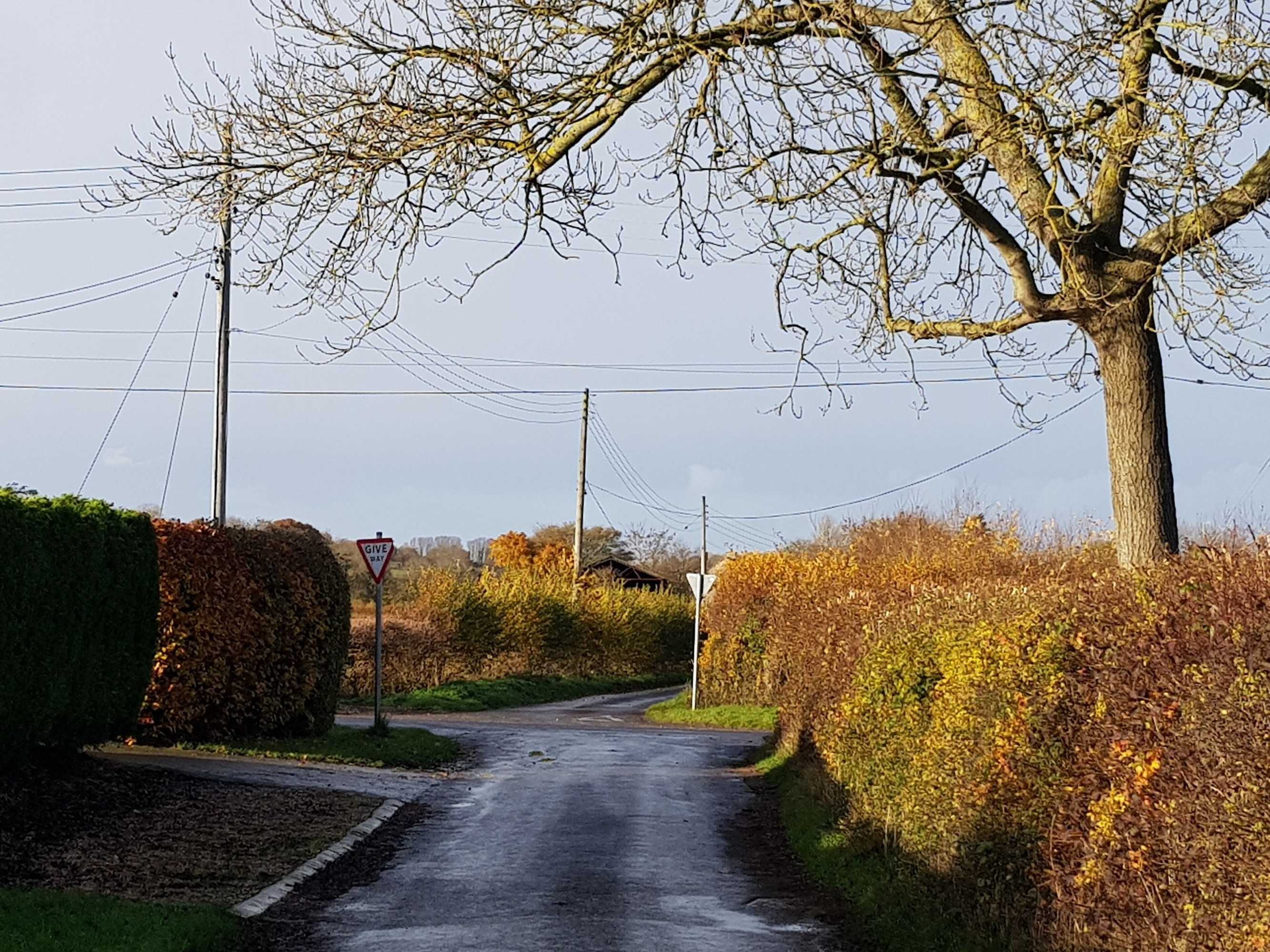 Gift card for Rosehip Cottage