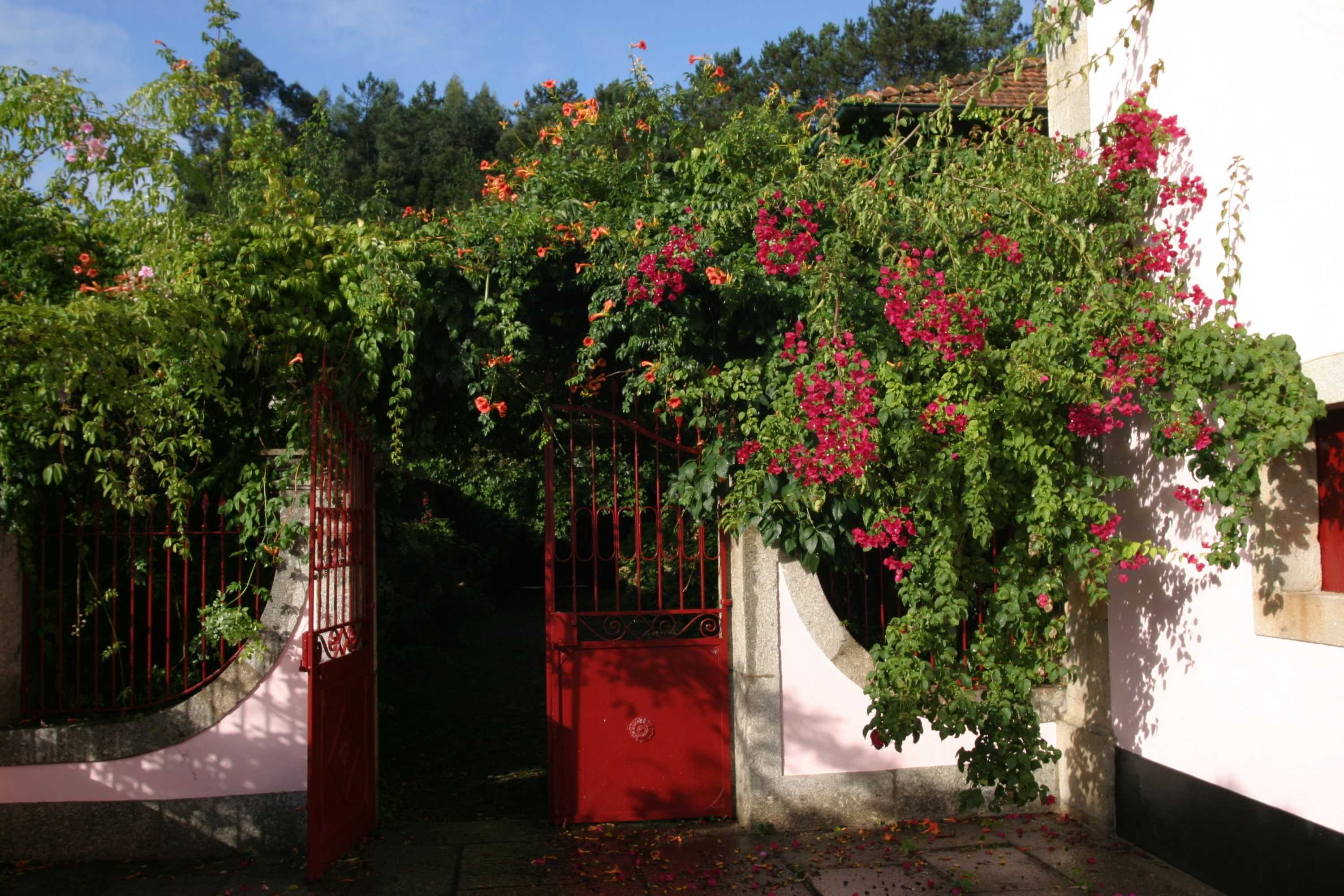 Gift card for Quinta da Picaria