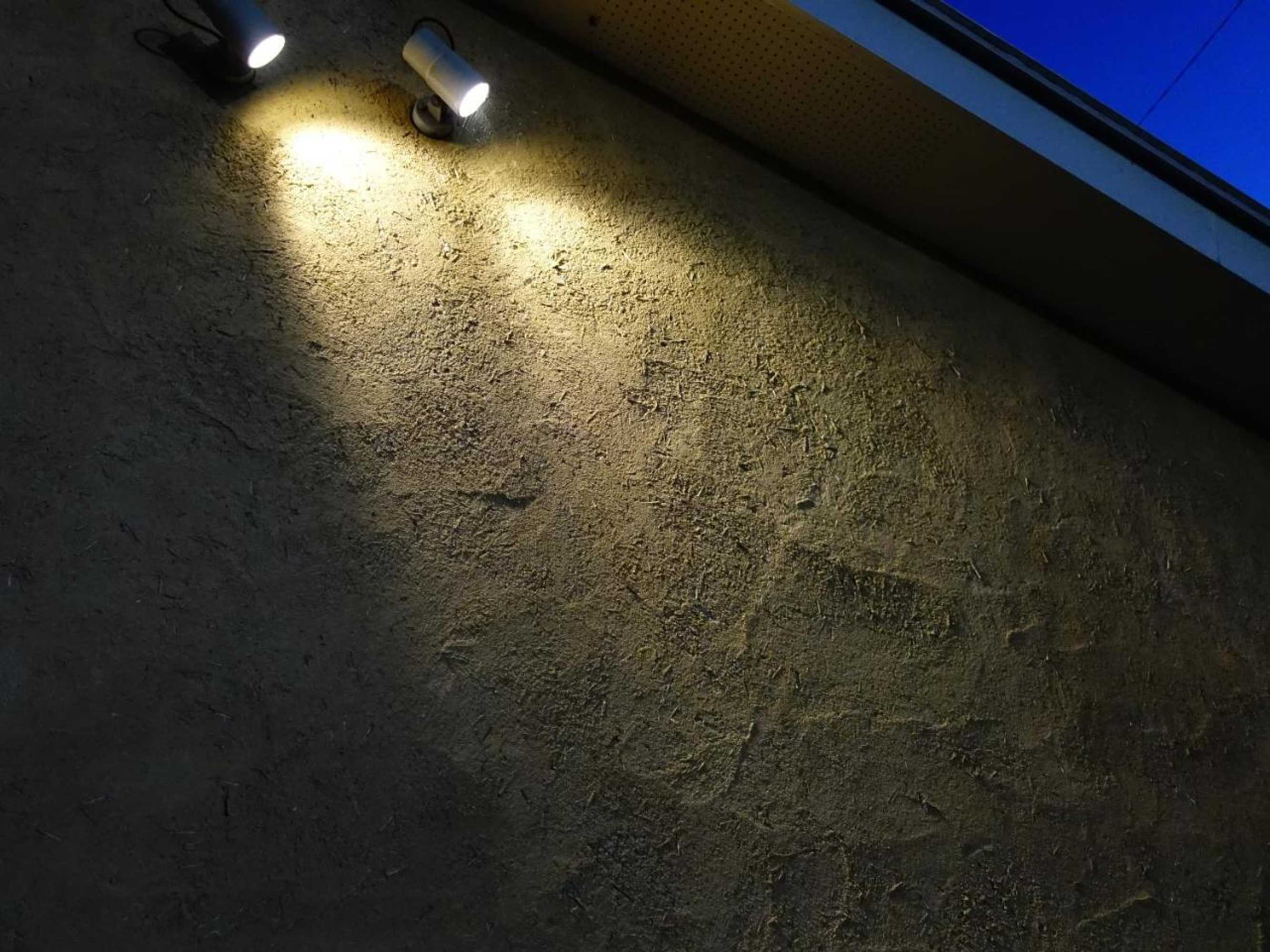 Gift card for Oimatsuen