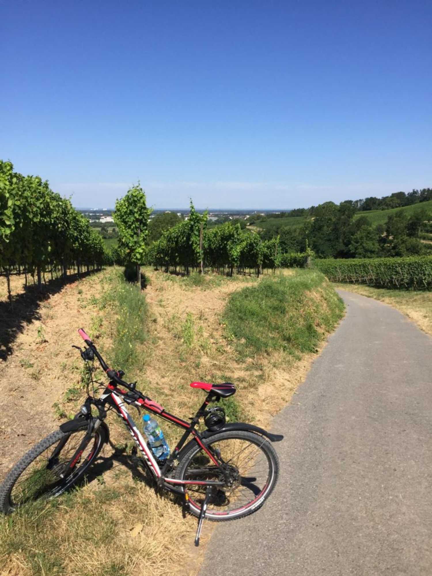 Gift card for Hotel Schützenhof