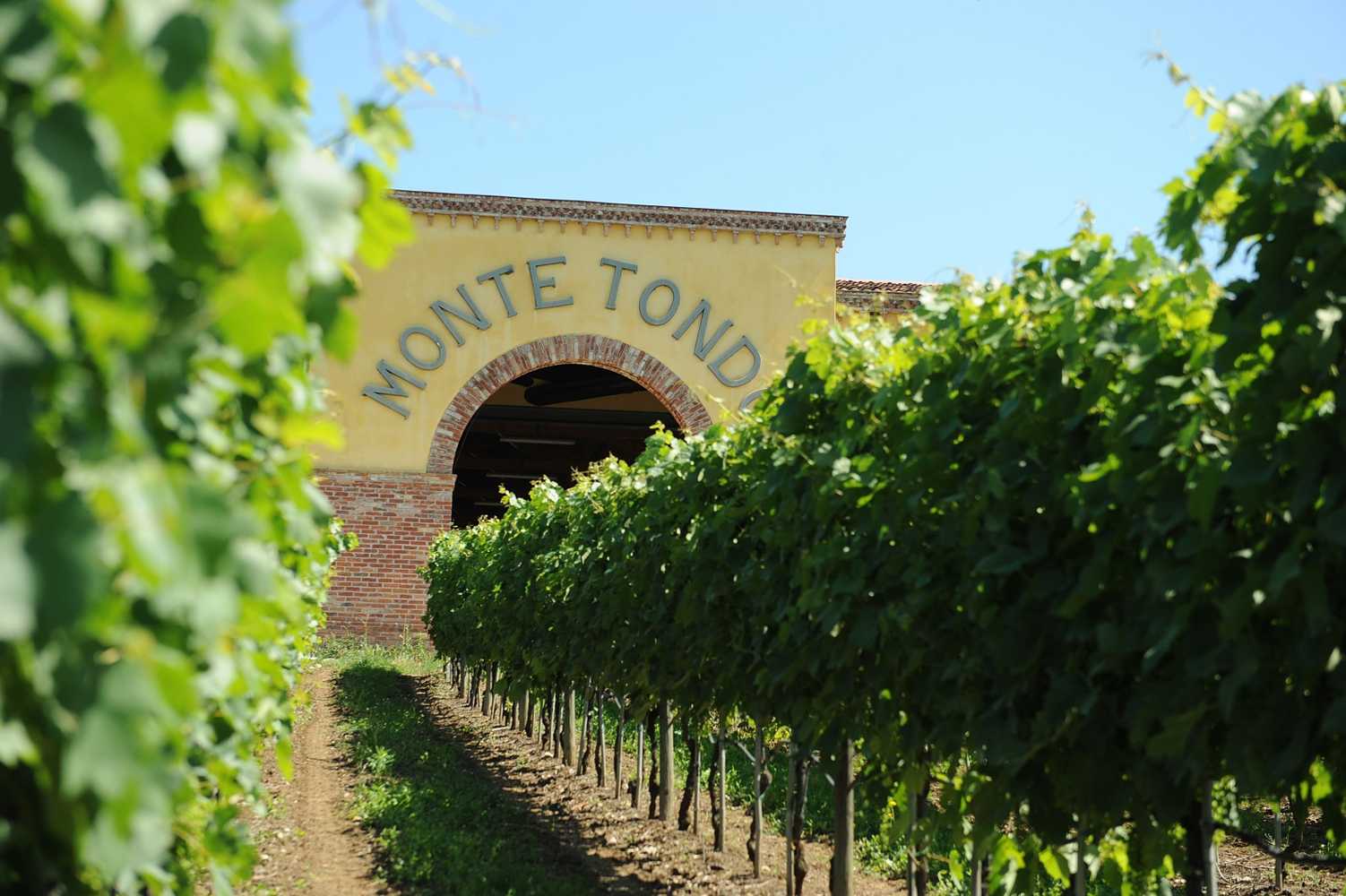 Gift card for Monte Tondo Winery