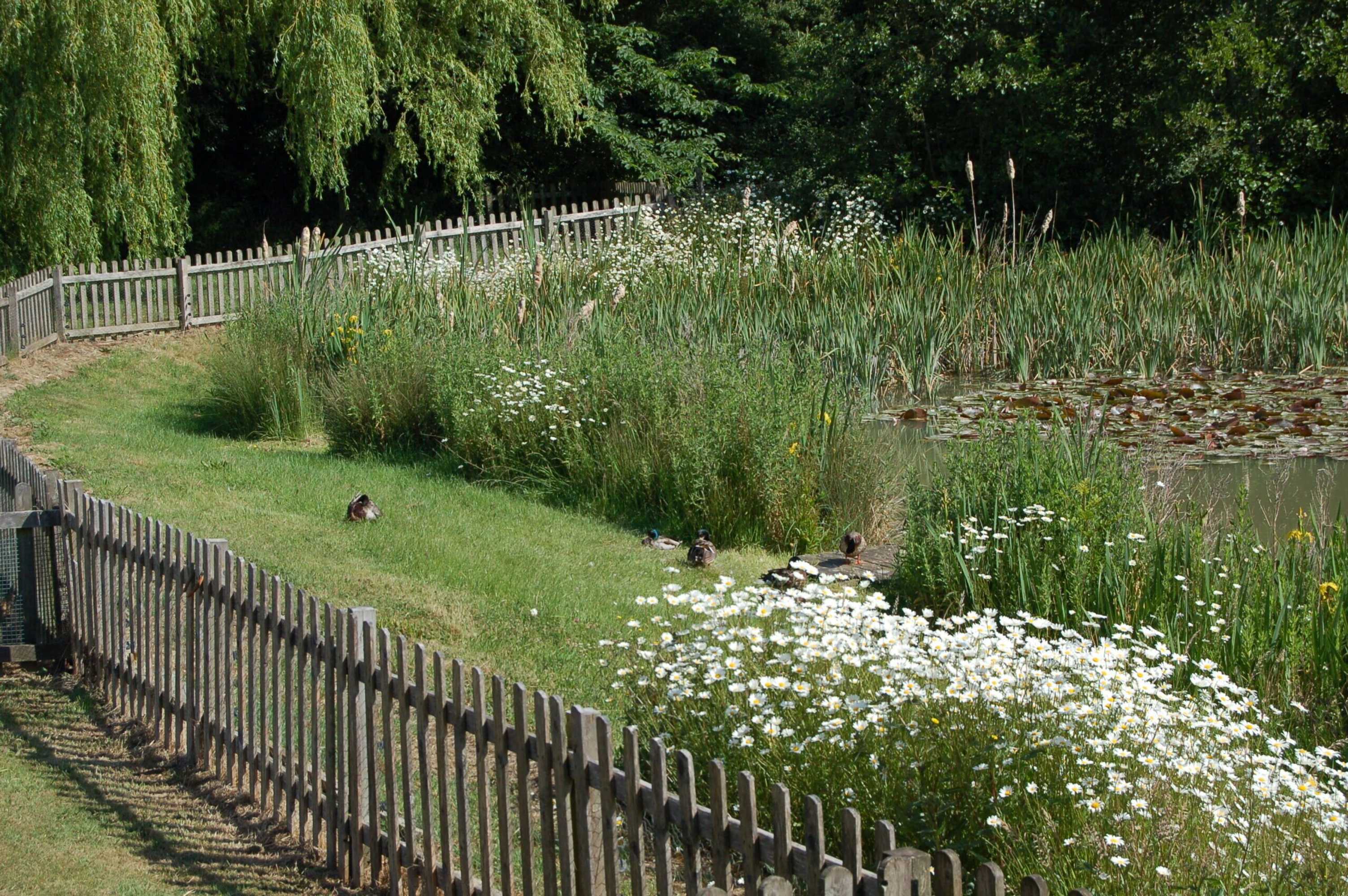 Gift card for Watermeadow Lakes & Lodges Gift card for Watermeadow Lakes & Lodges