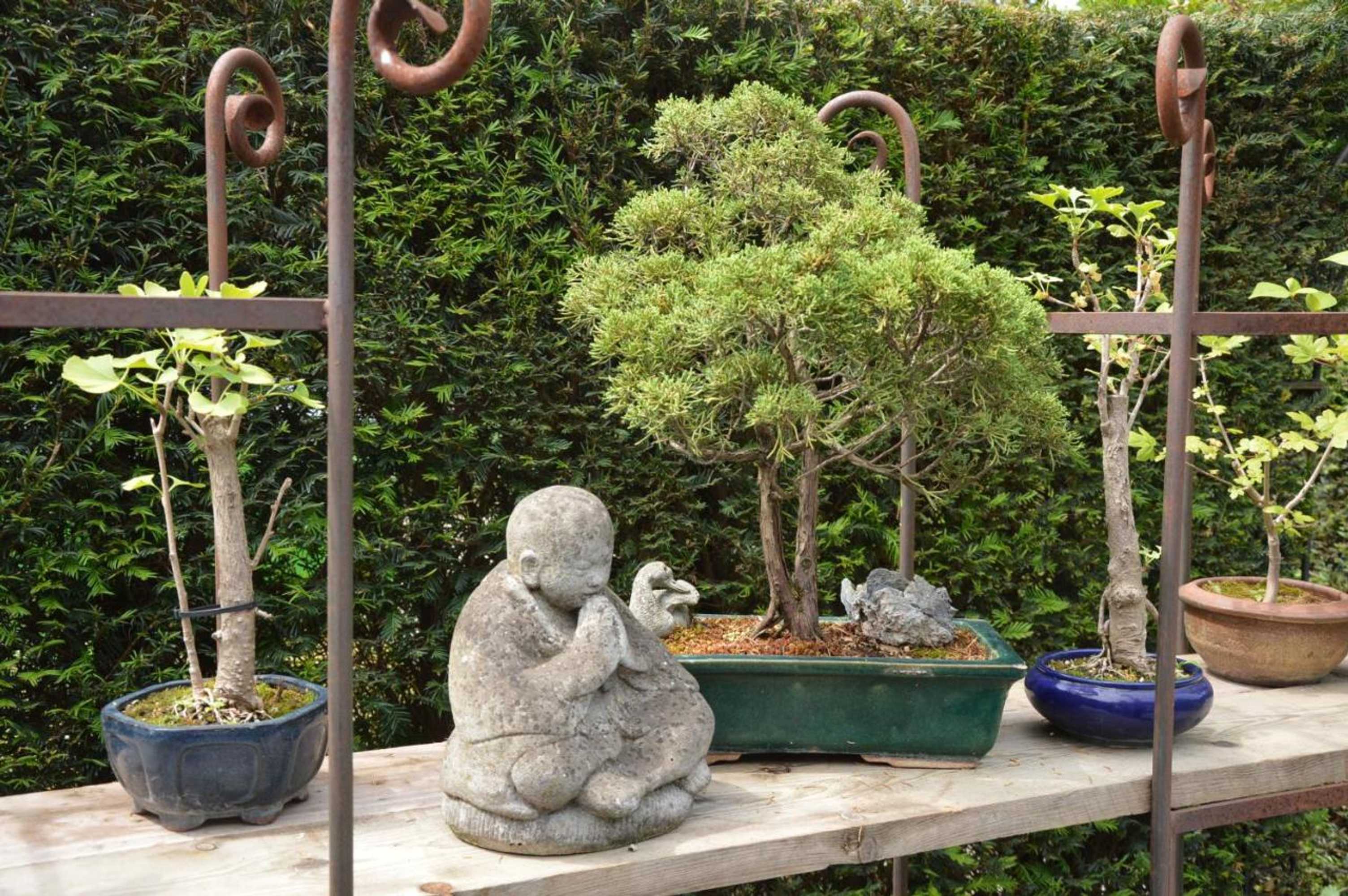 Gift card for Casa di Fiore