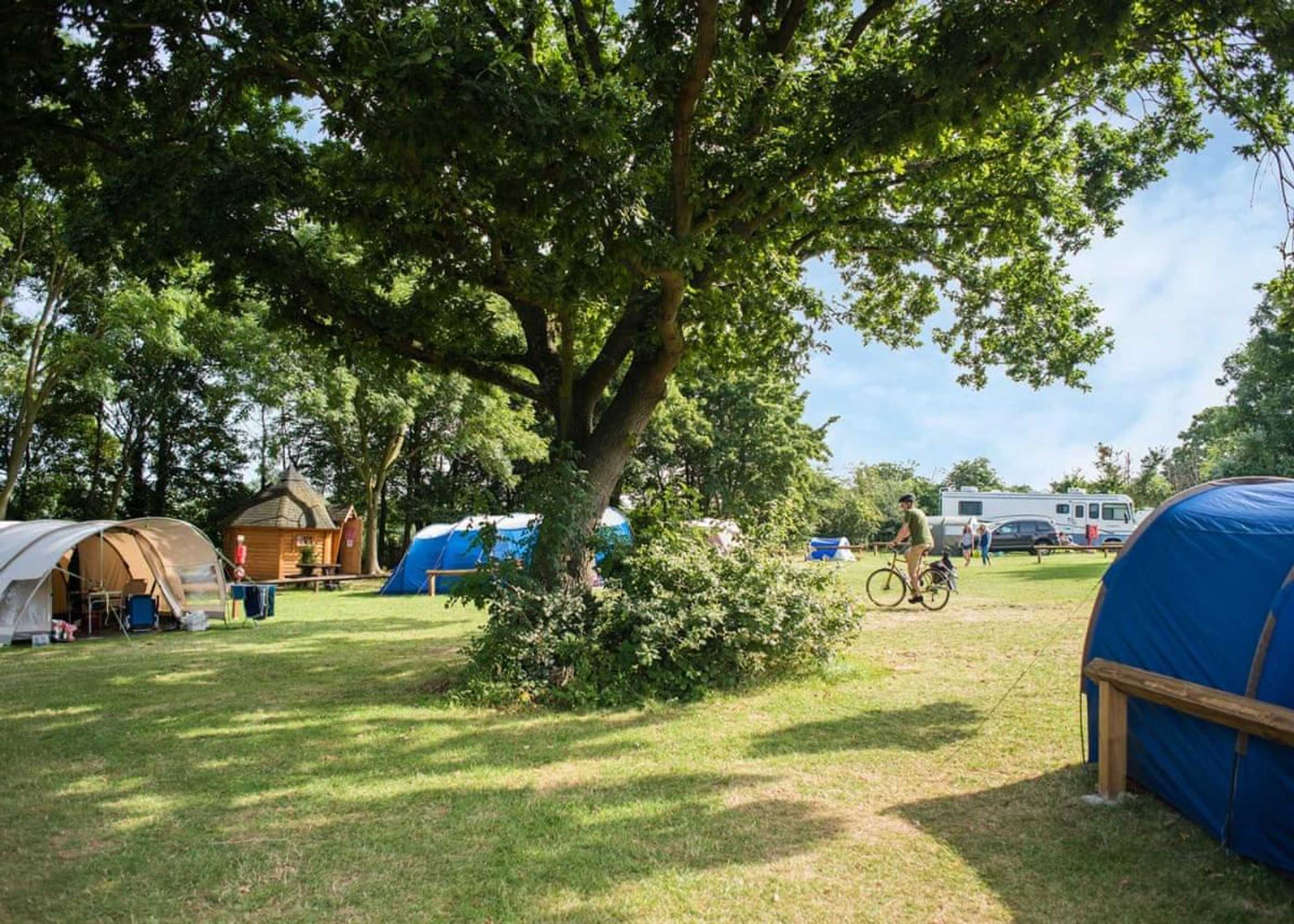 Gift card for Lee Valley Sewardstone