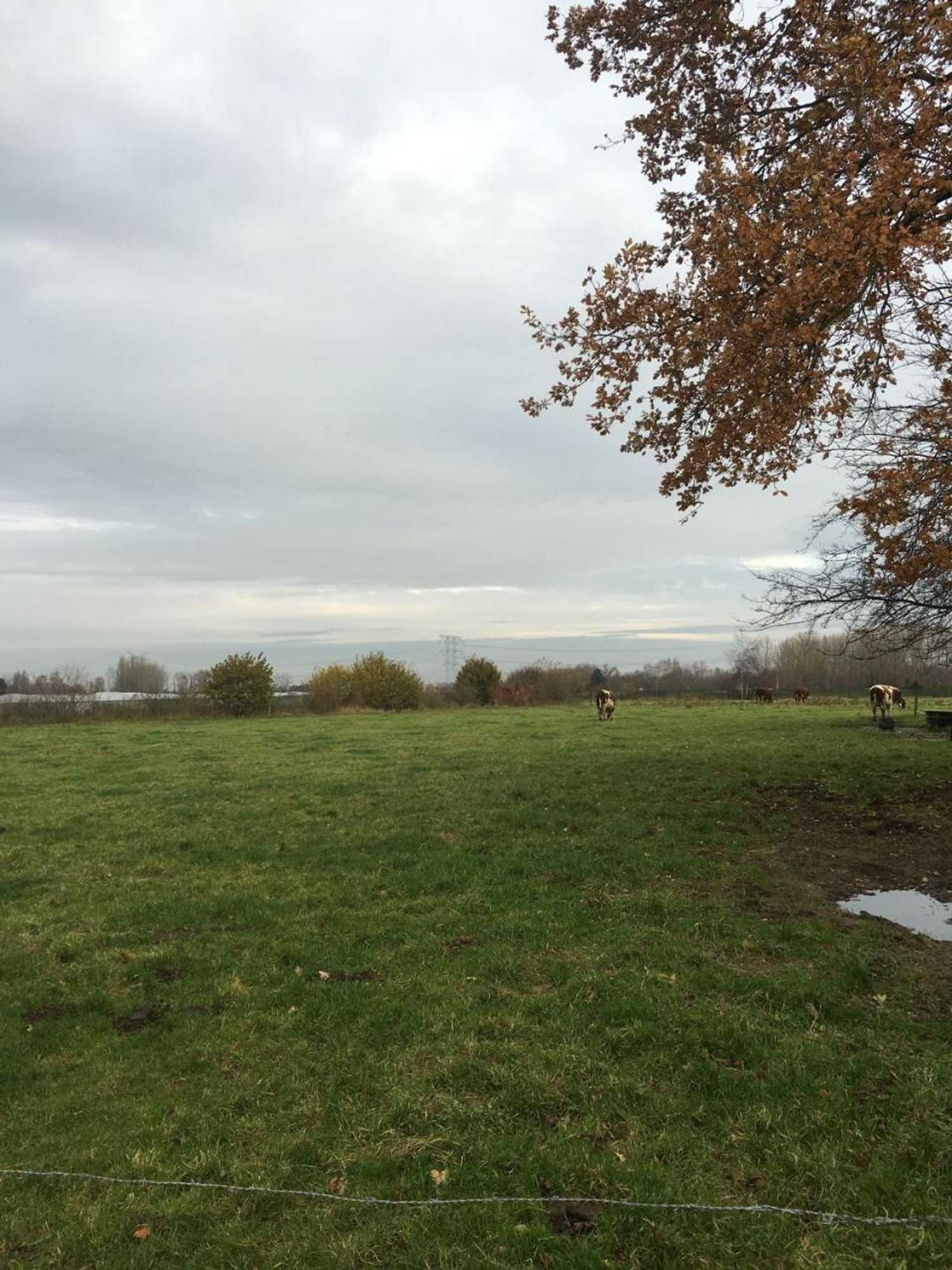 Gift card for De Blije Big