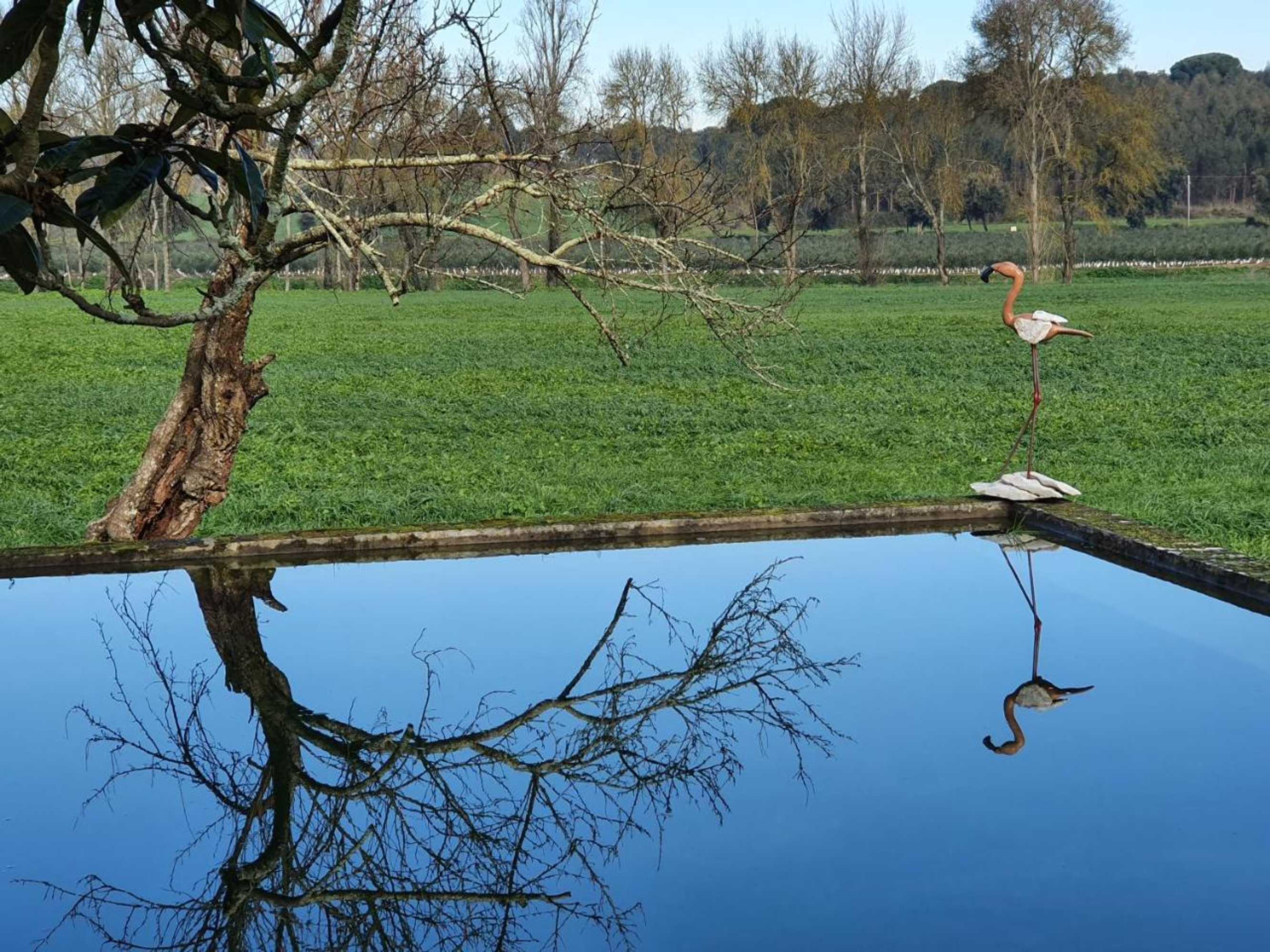 Gift card for Quinta da Bizelga Cottages