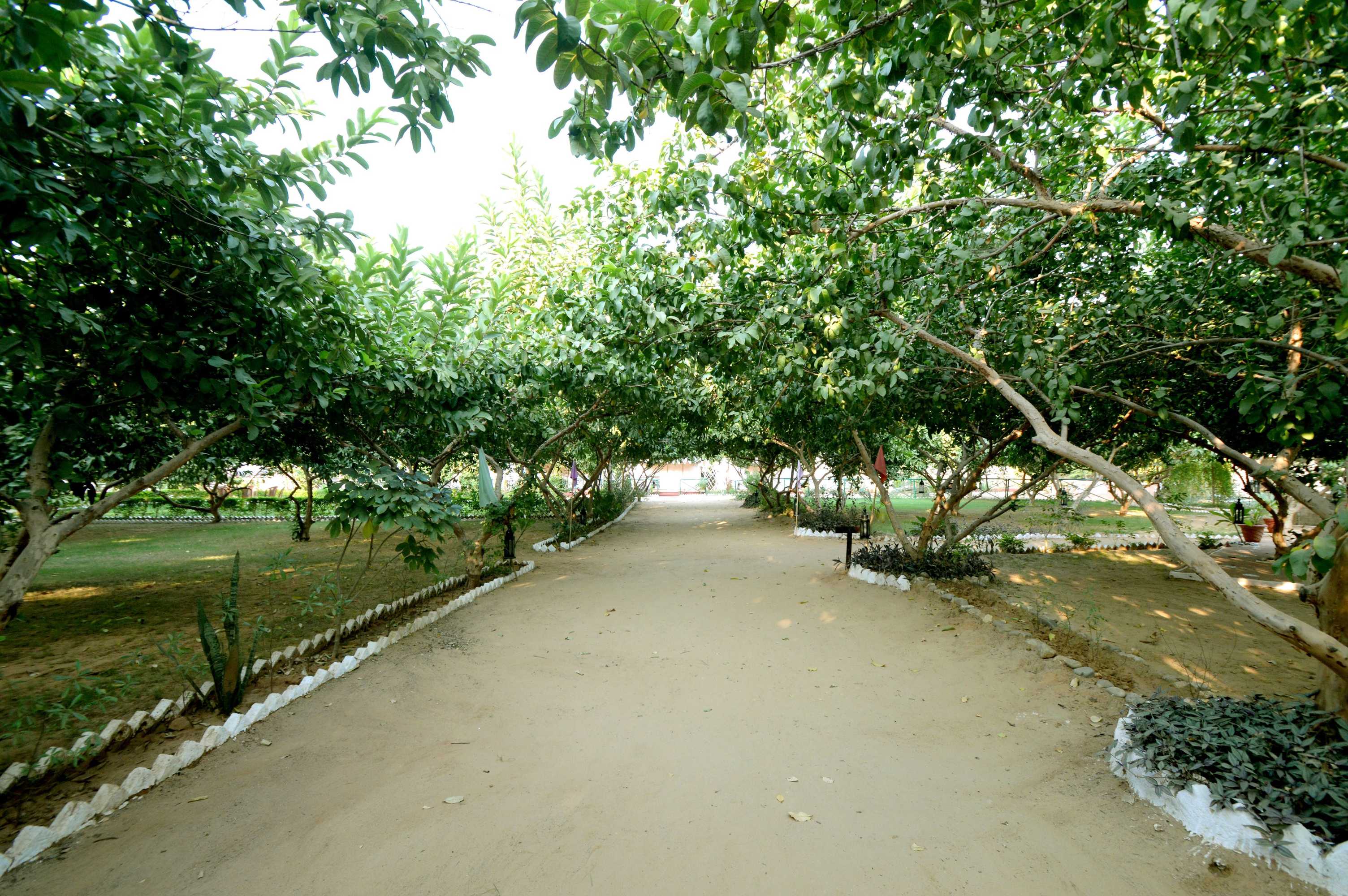 Gift card for Bagh Dera Camp Gift card for Bagh Dera Camp