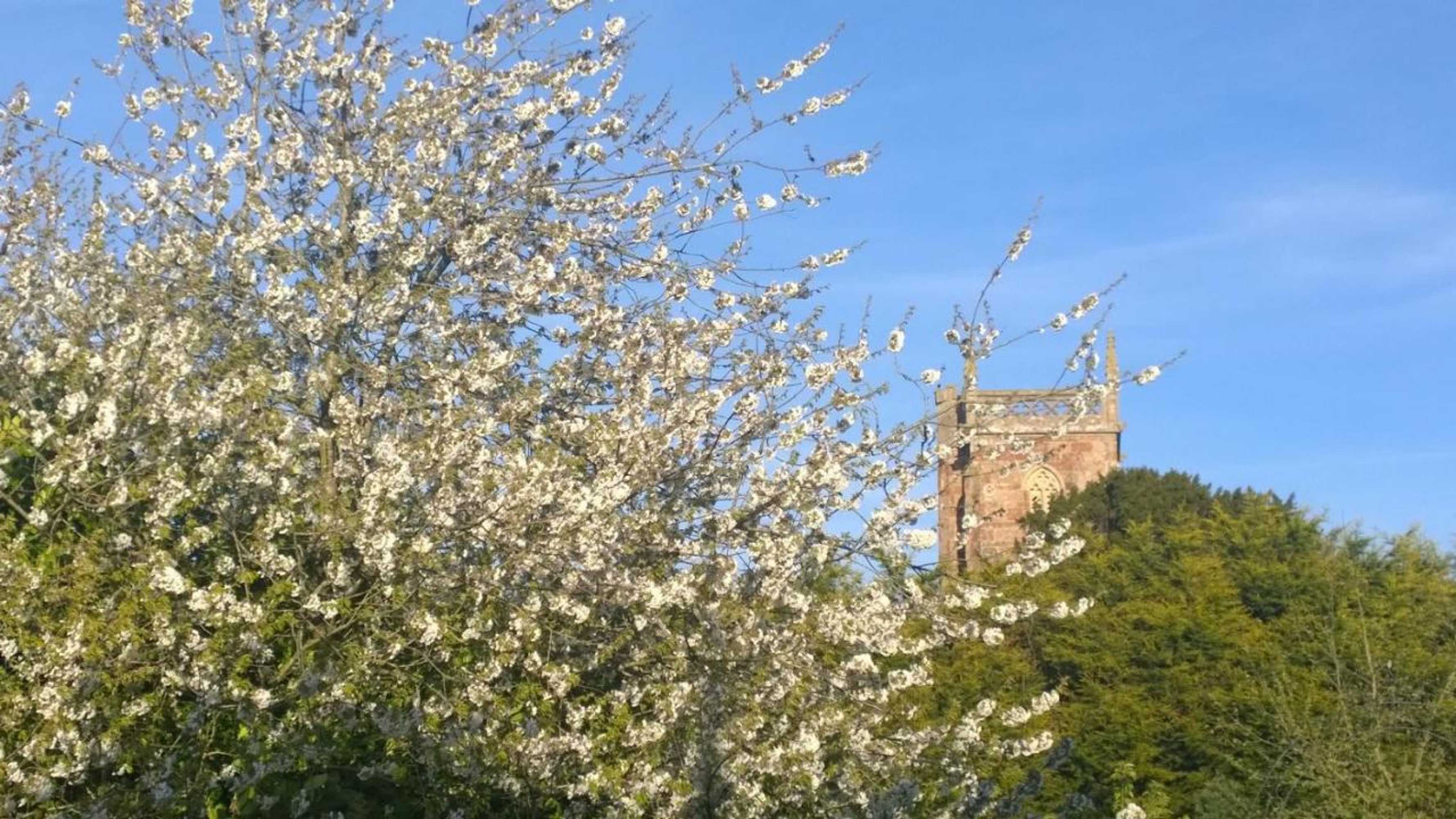 Gift card for Cameley Lodge - Self Catering Gift card for Cameley Lodge - Self Catering