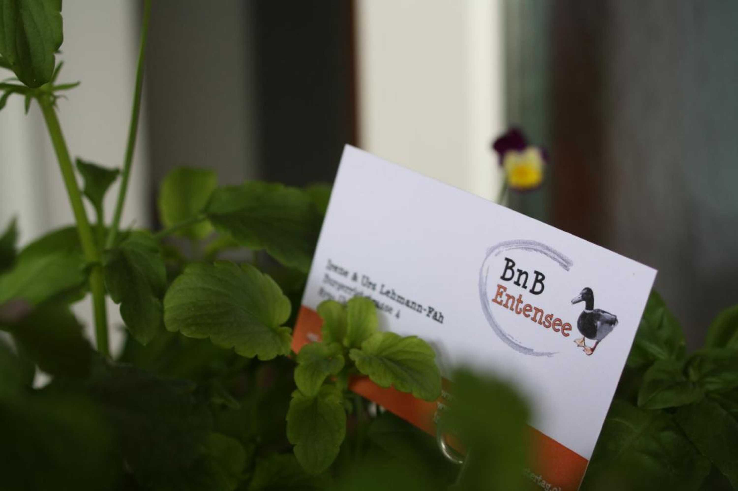 Gift card for Bnb Entensee