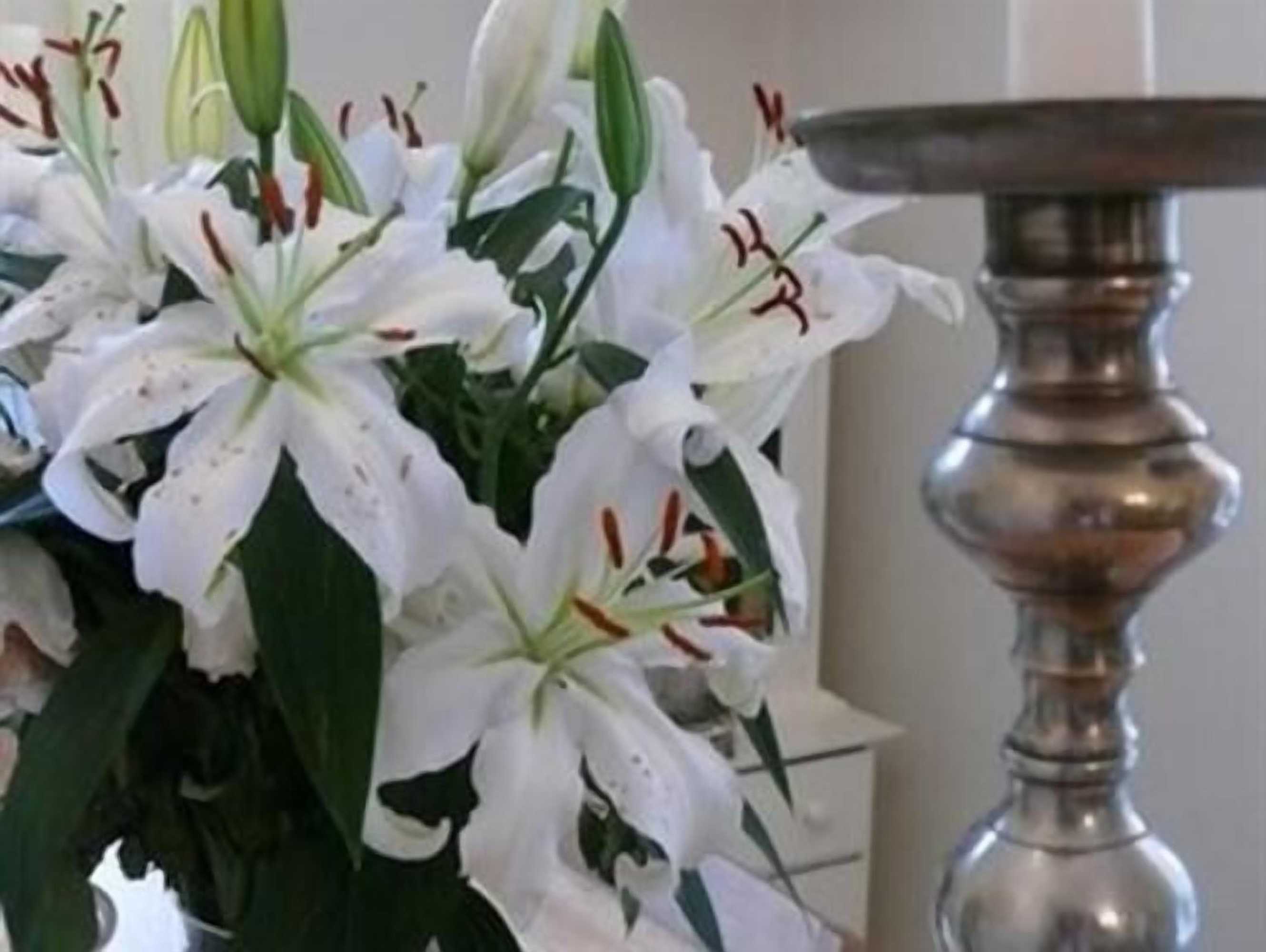 Gift card for The Merchant House