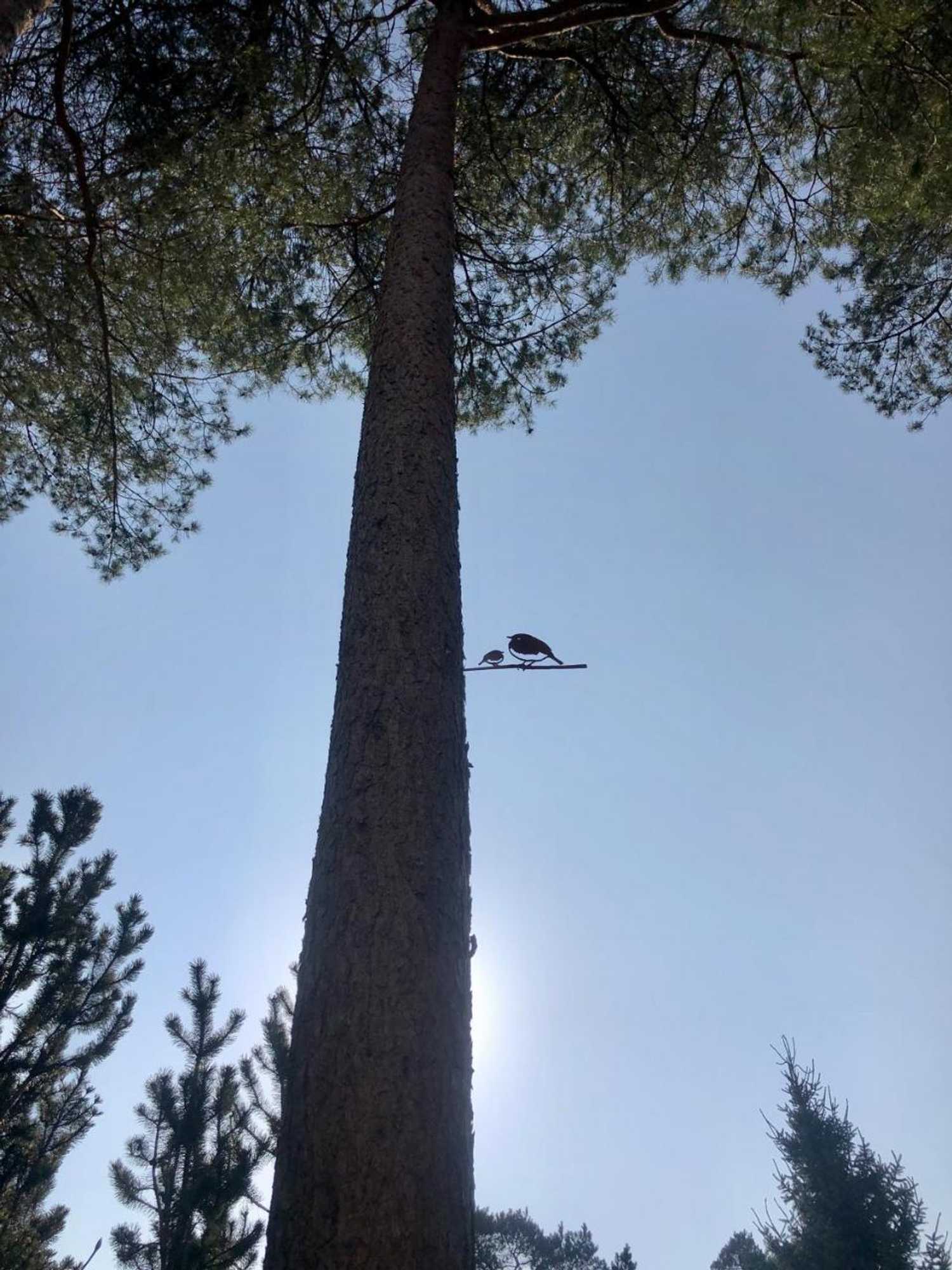 Gift card for Cottage Hazenhorst - Paradijs Aan Het Bos