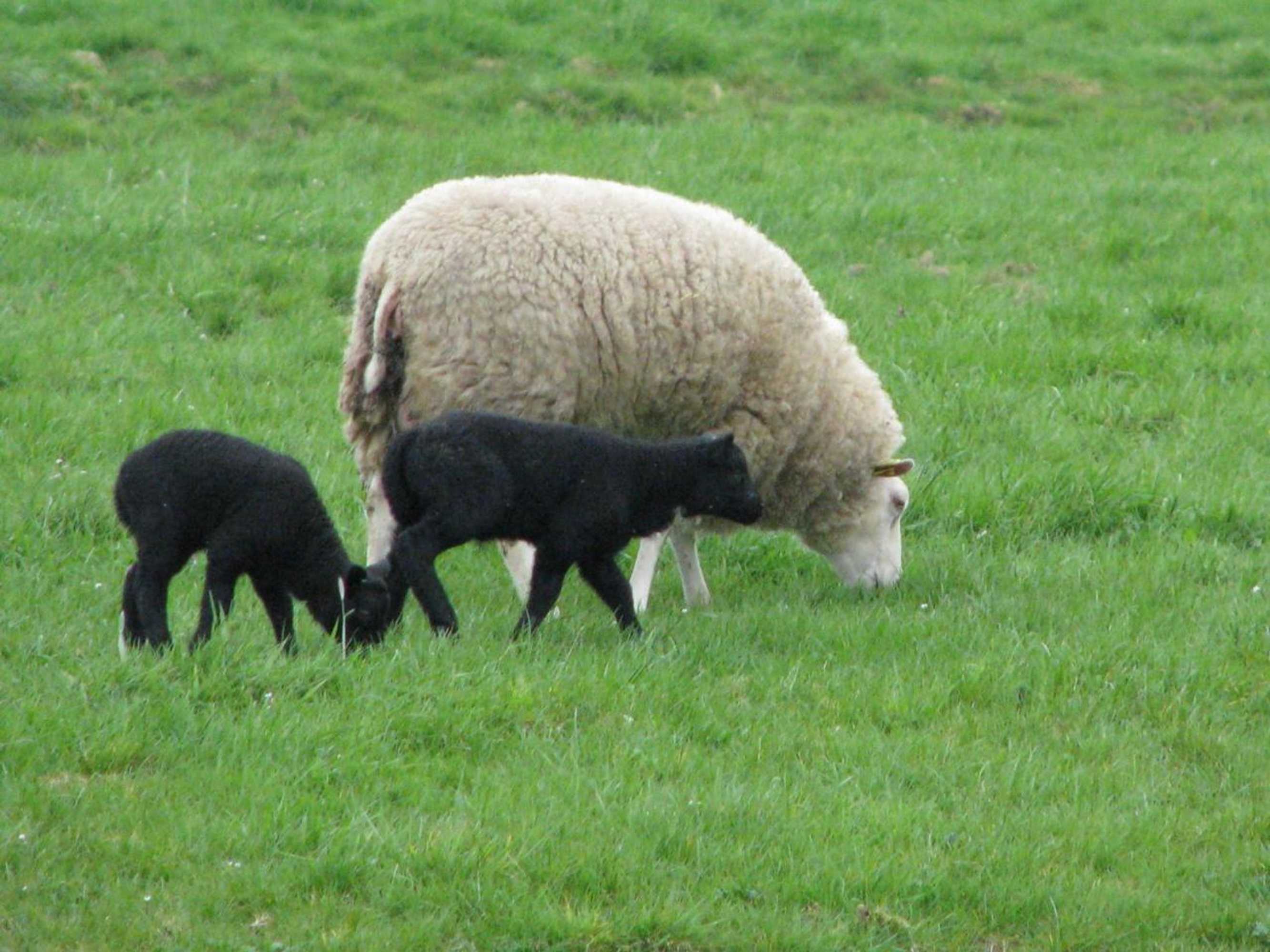 Gift card for Camping De Grienduil